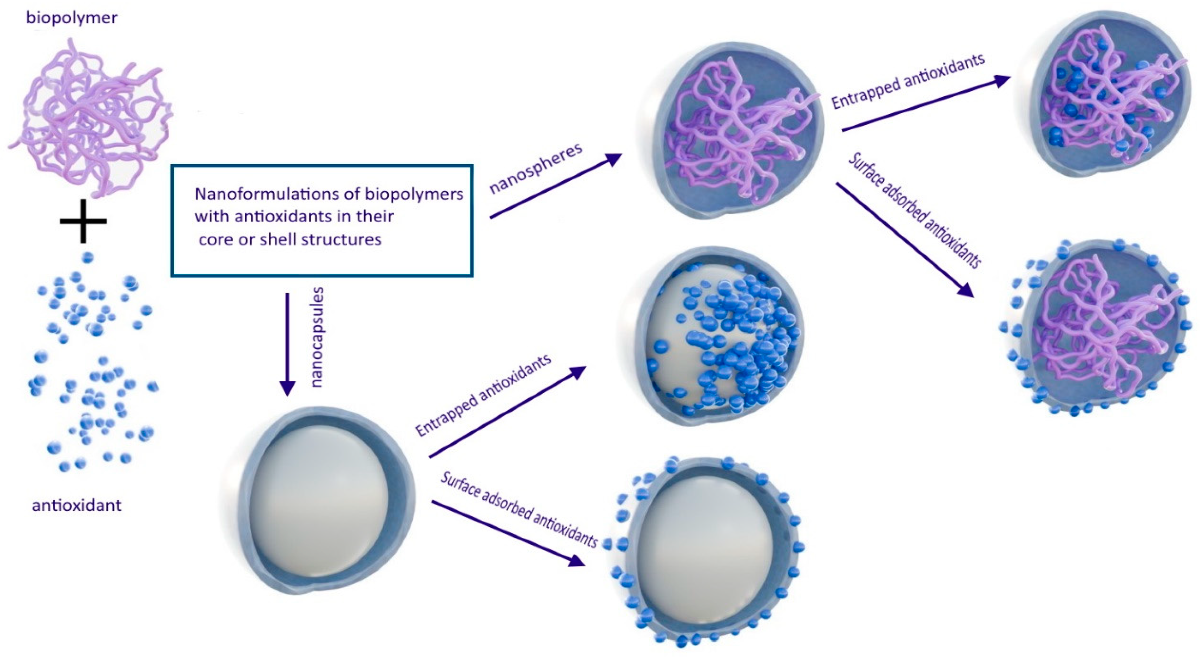 Pharmaceutics 16 00670 g007