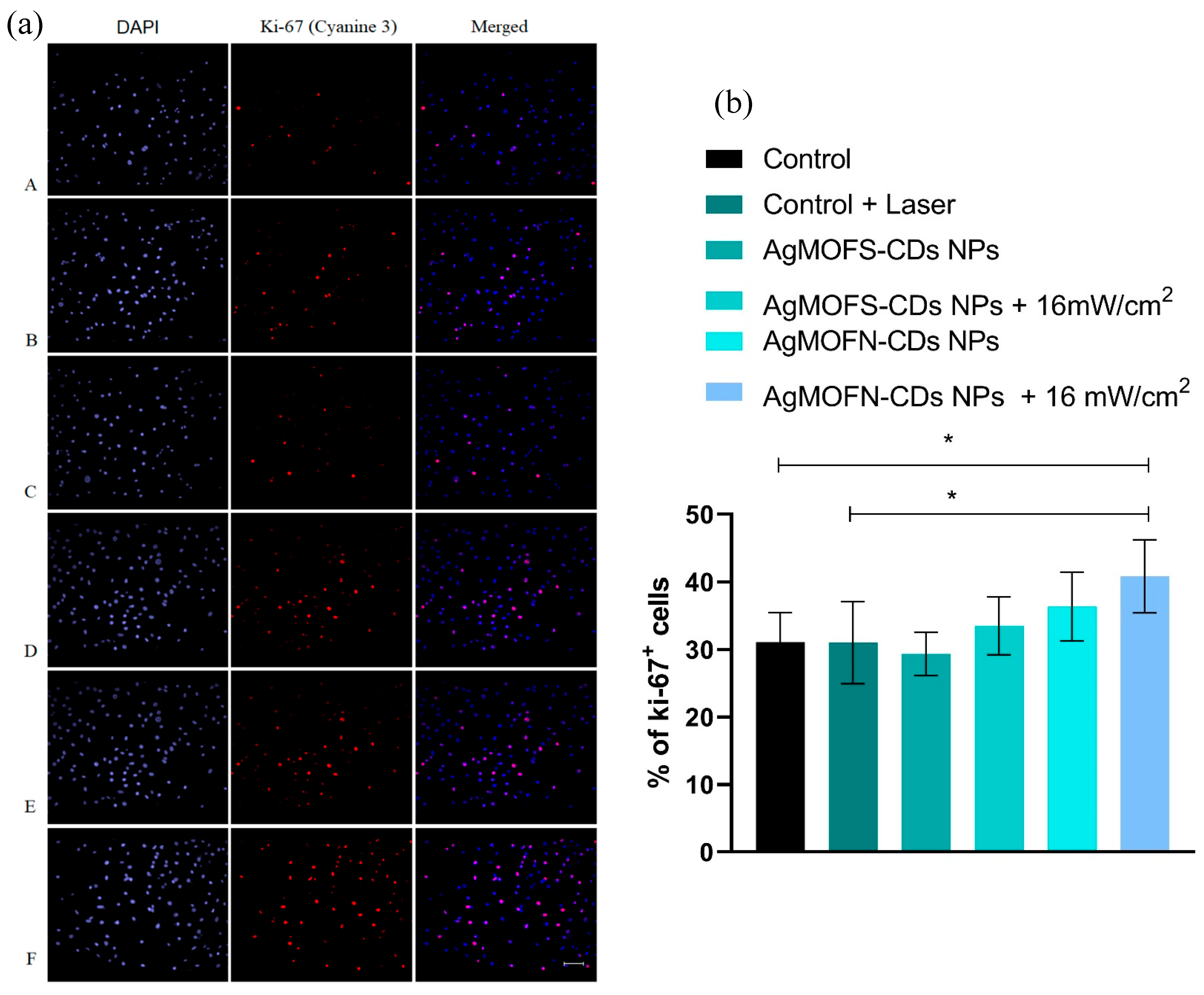 Pharmaceutics 16 00671 g003