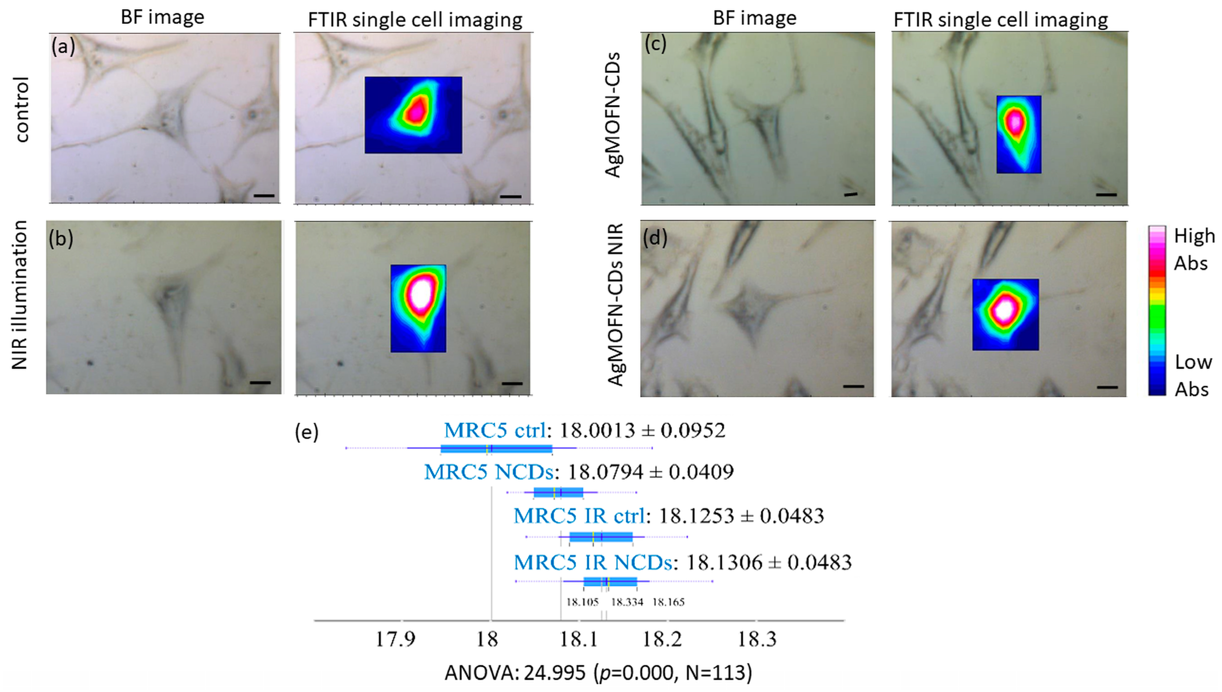 Pharmaceutics 16 00671 g008