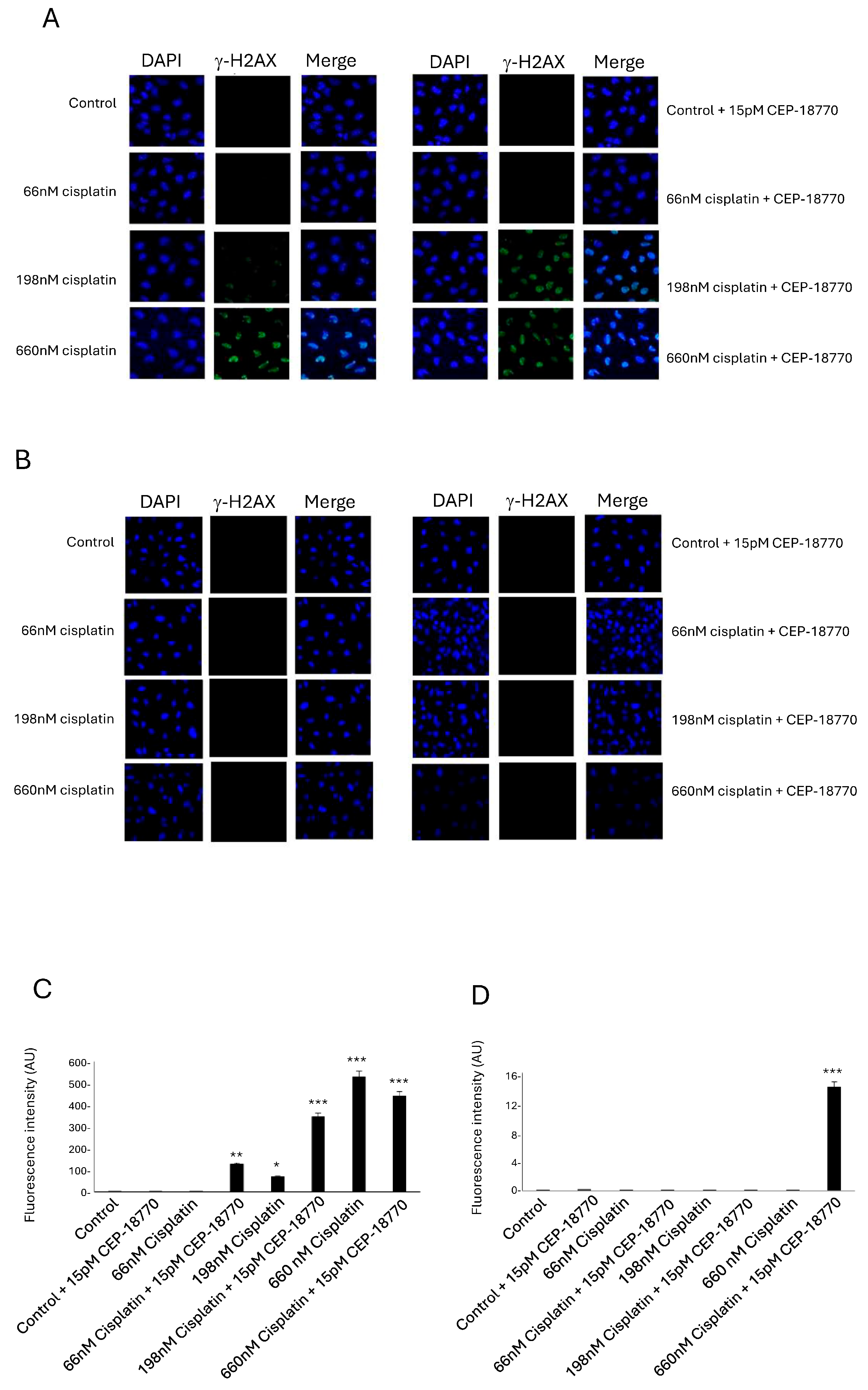 Pharmaceutics 16 00672 g003