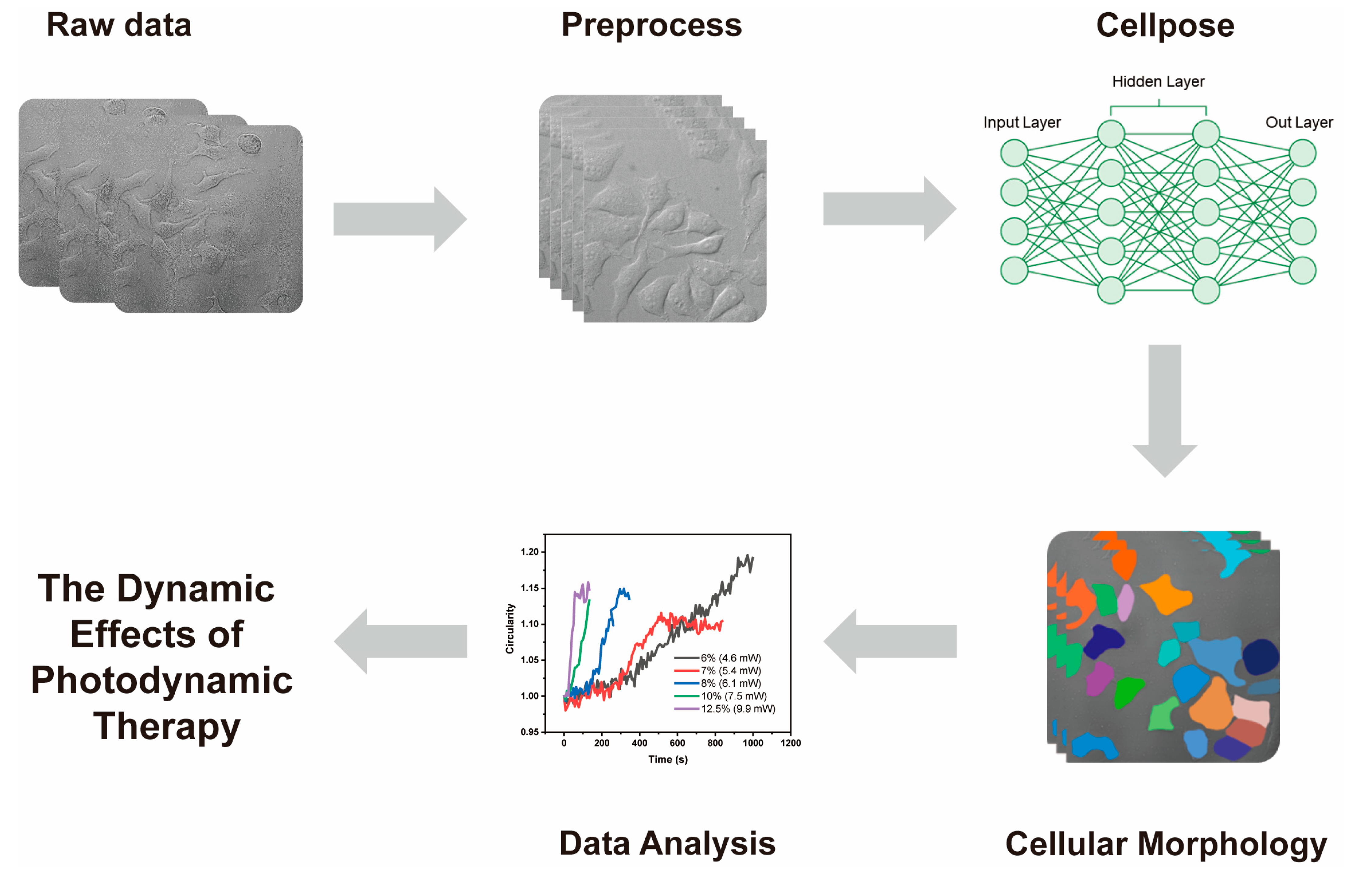 Pharmaceutics 16 00673 g001