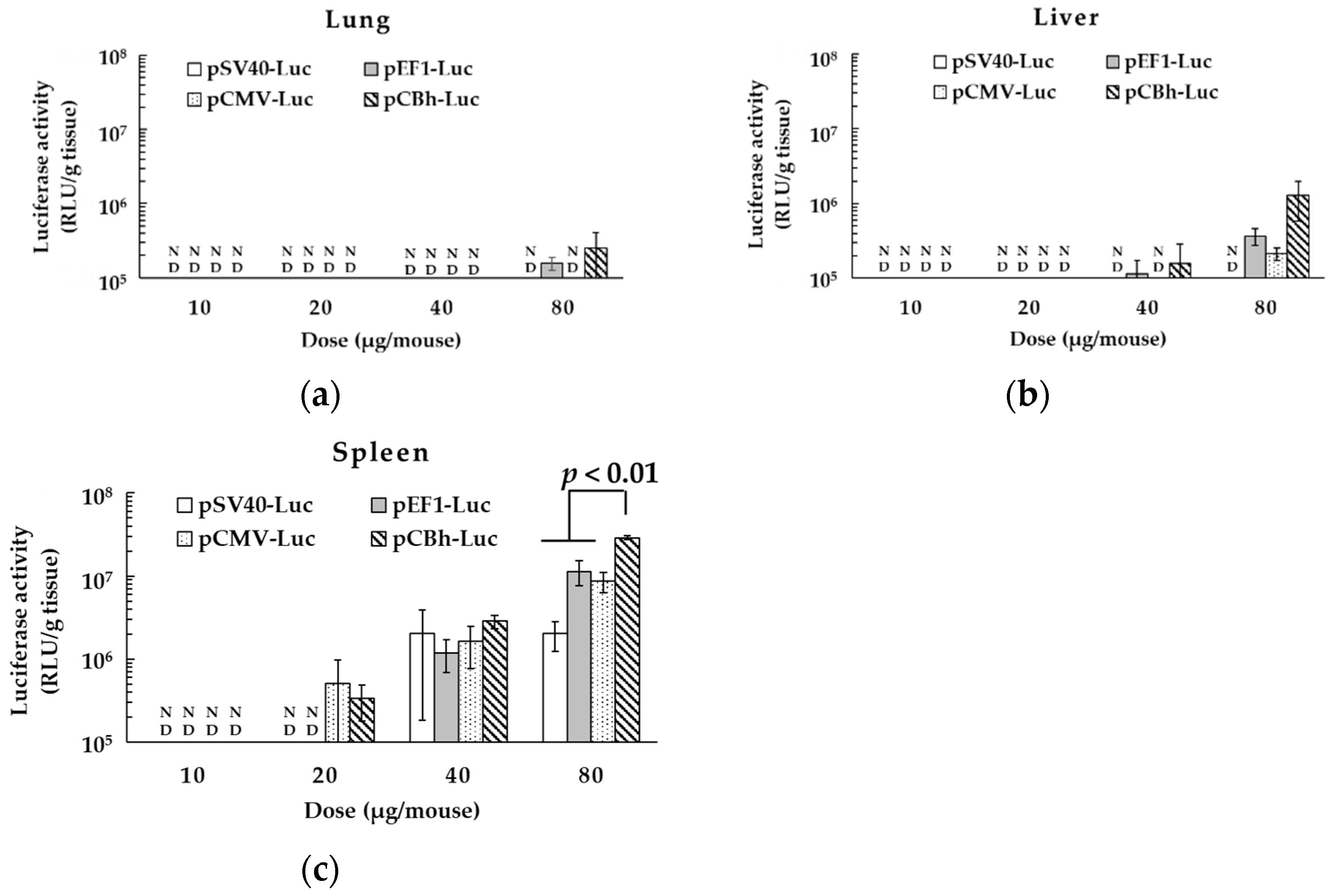Pharmaceutics 16 00679 g003 Pharmaceutics 16 00679 g003