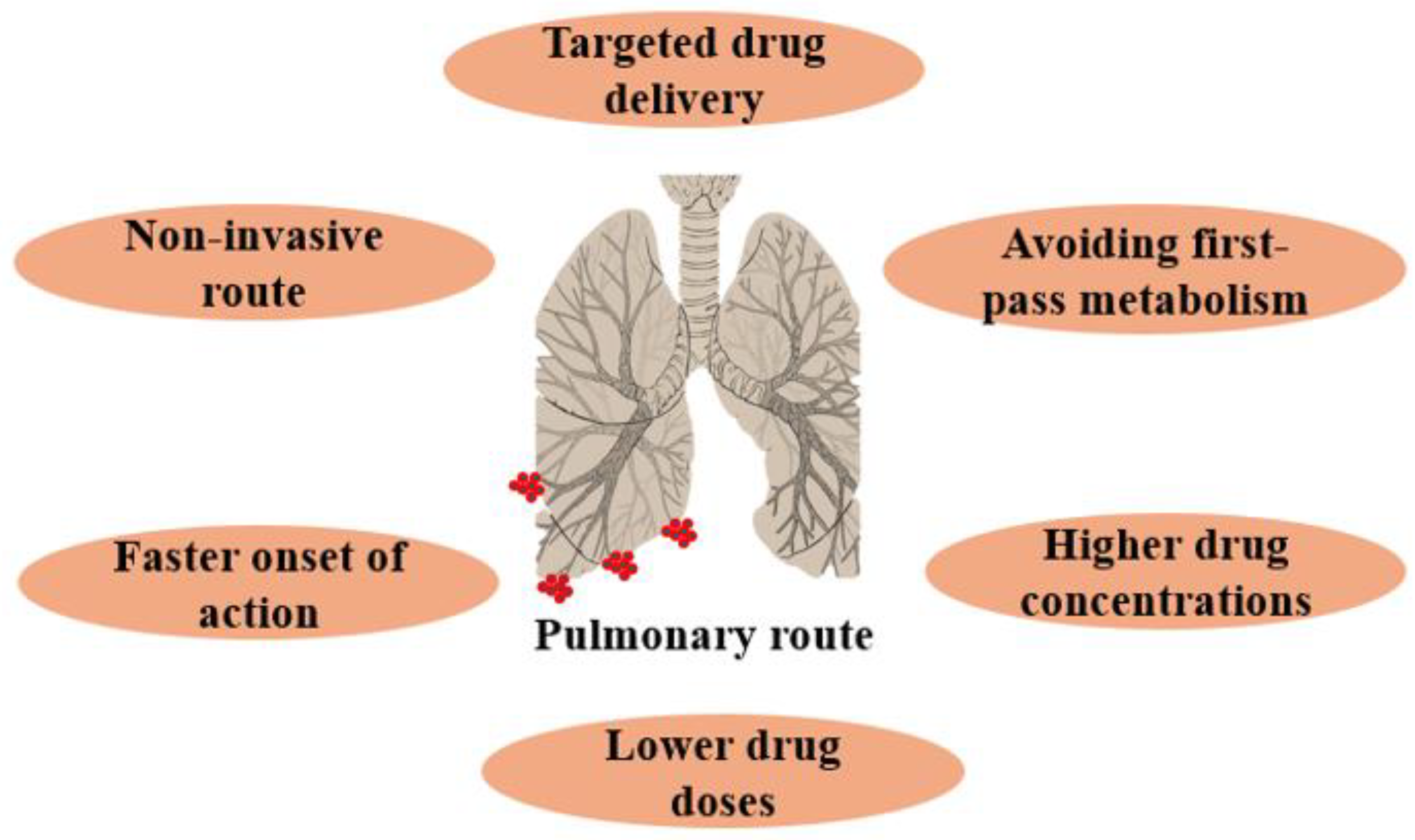 Pharmaceutics 16 00680 g002