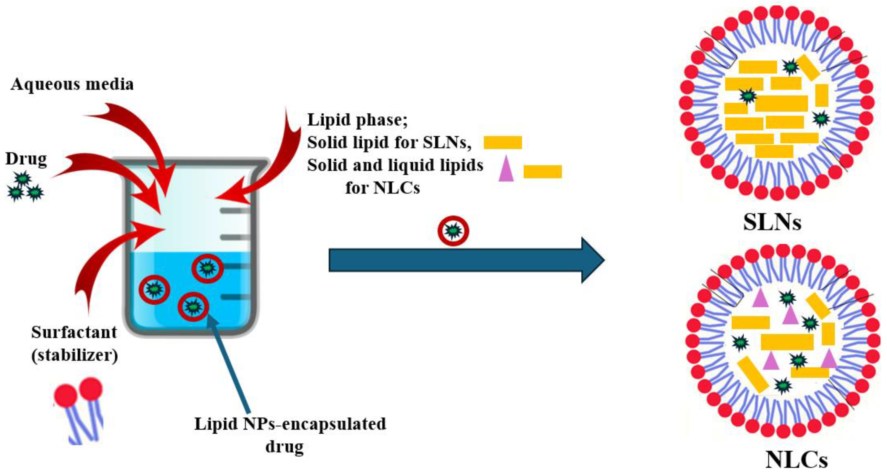 Pharmaceutics 16 00680 g003