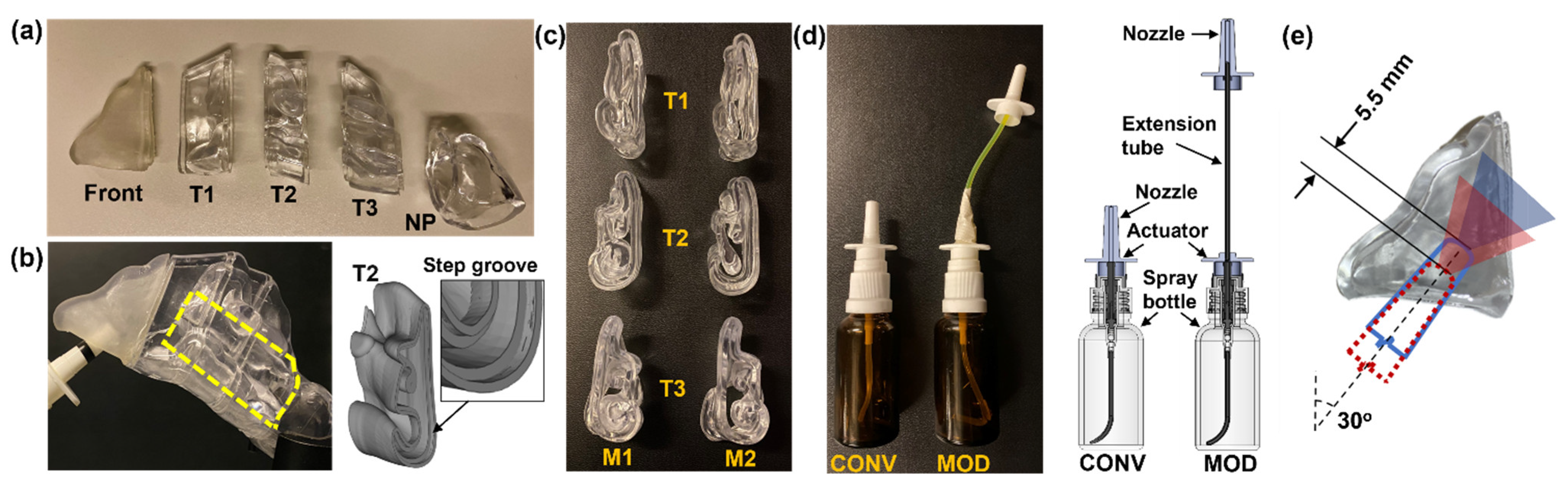 Pharmaceutics 16 00683 g001