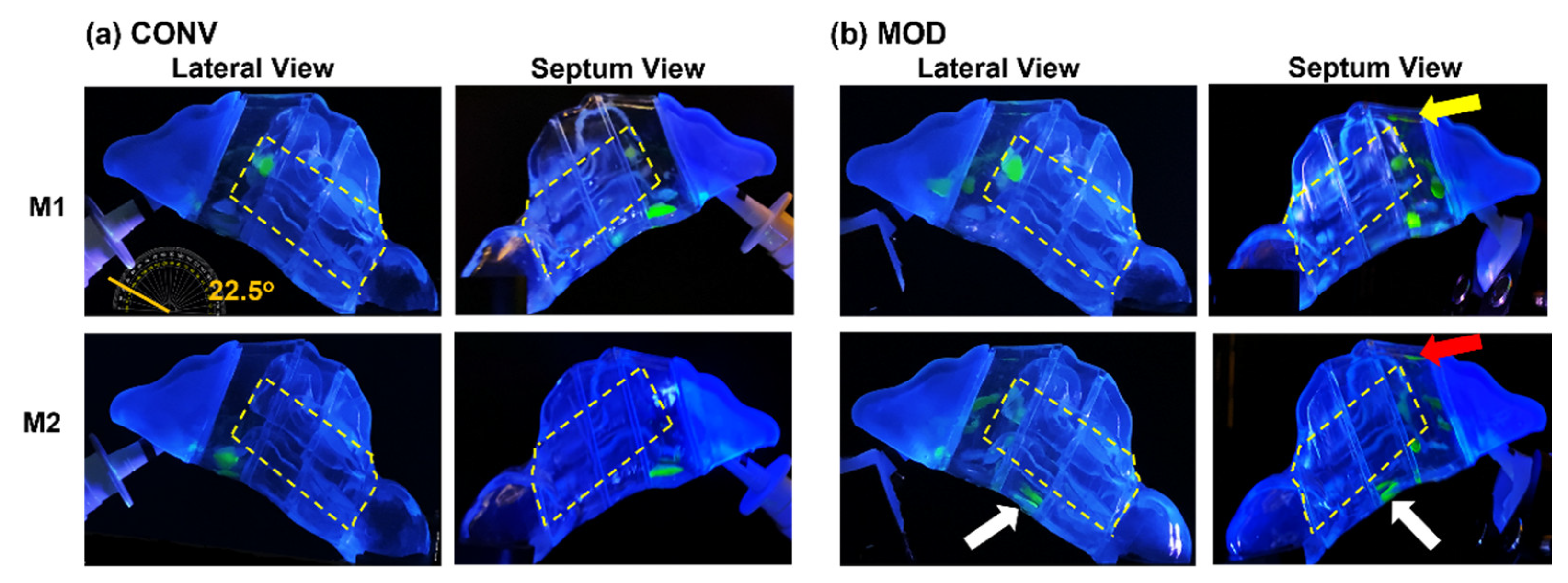 Pharmaceutics 16 00683 g003