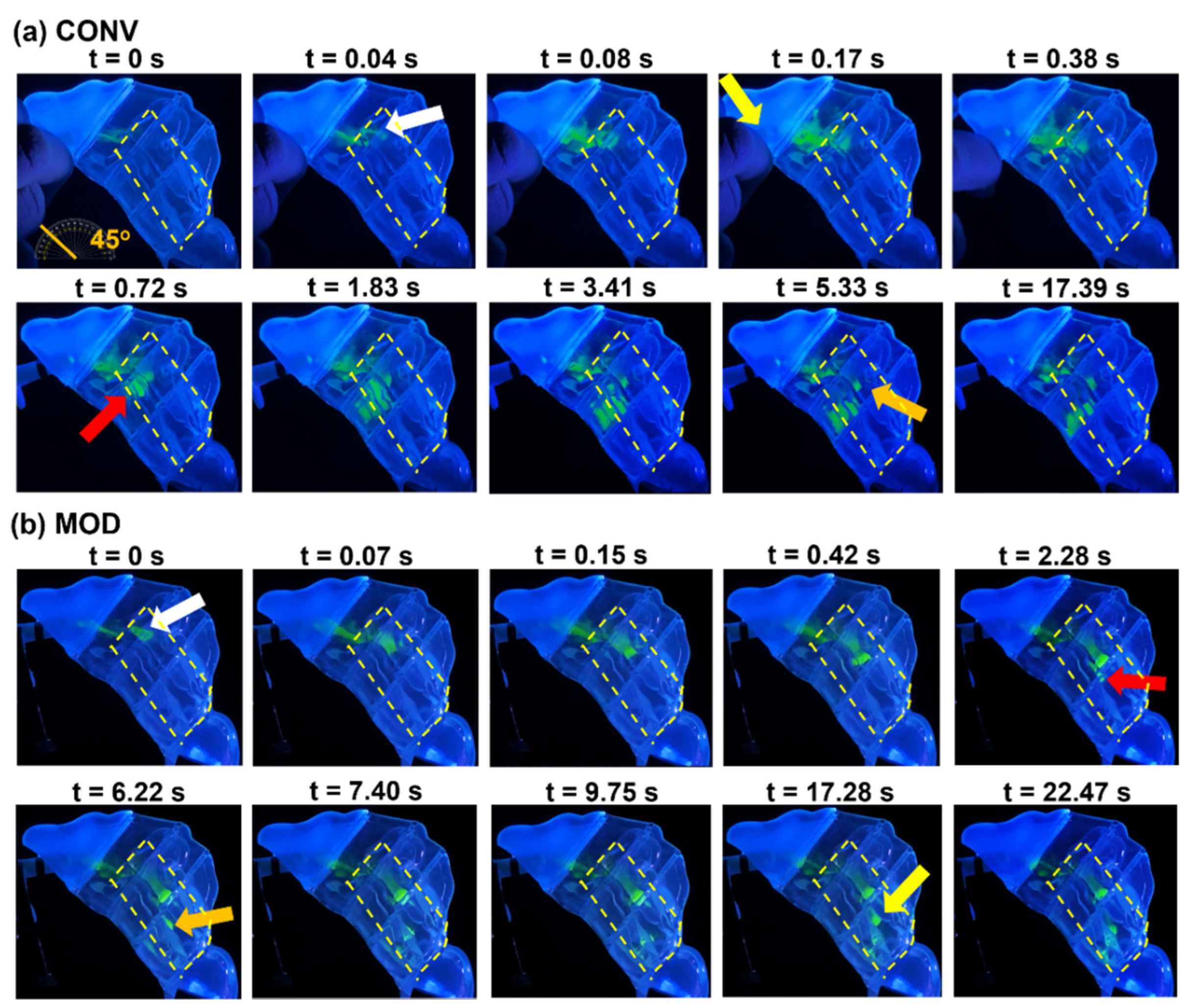 Pharmaceutics 16 00683 g012