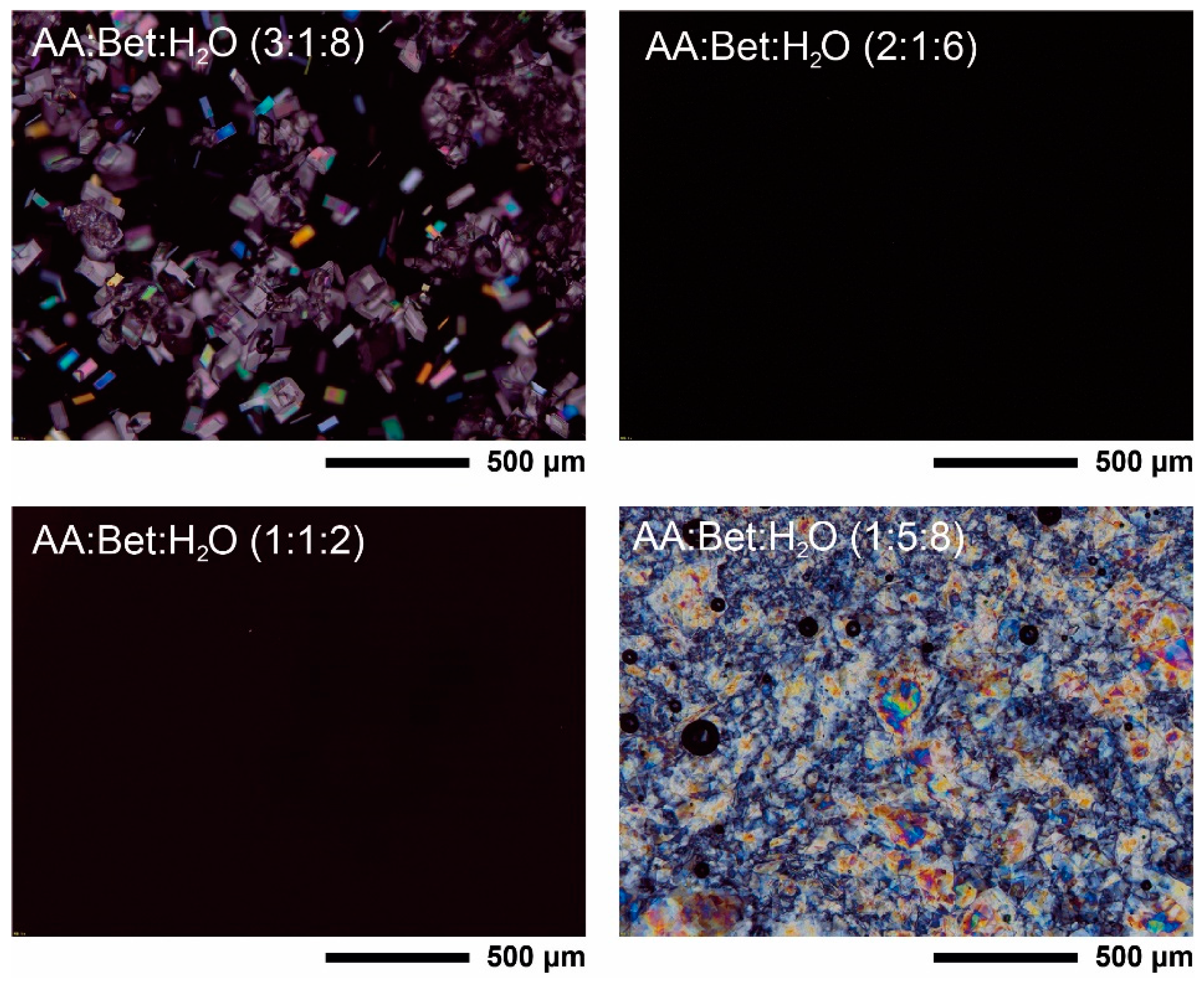 Pharmaceutics 16 00687 g001