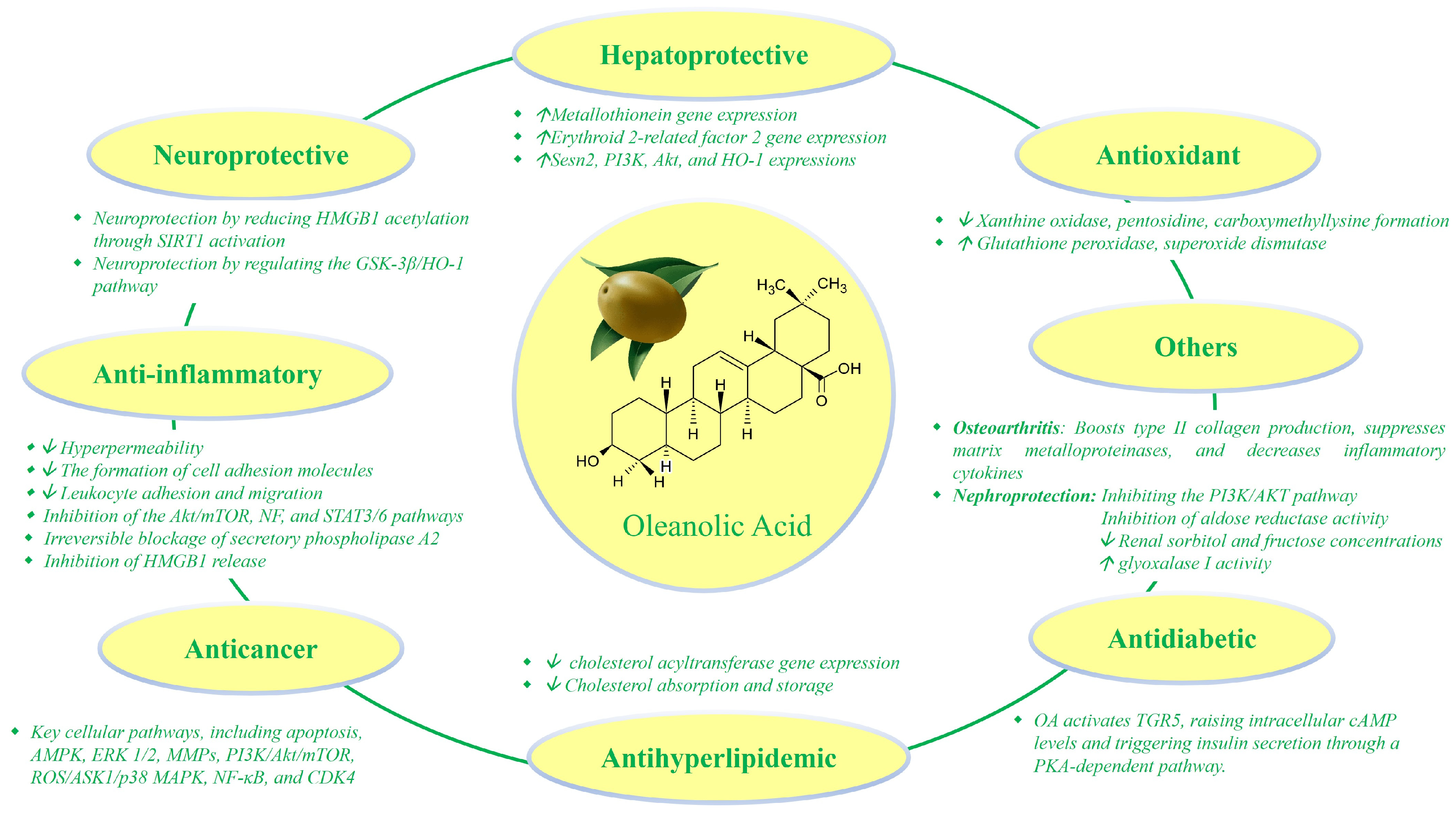 Pharmaceutics 16 00692 g002