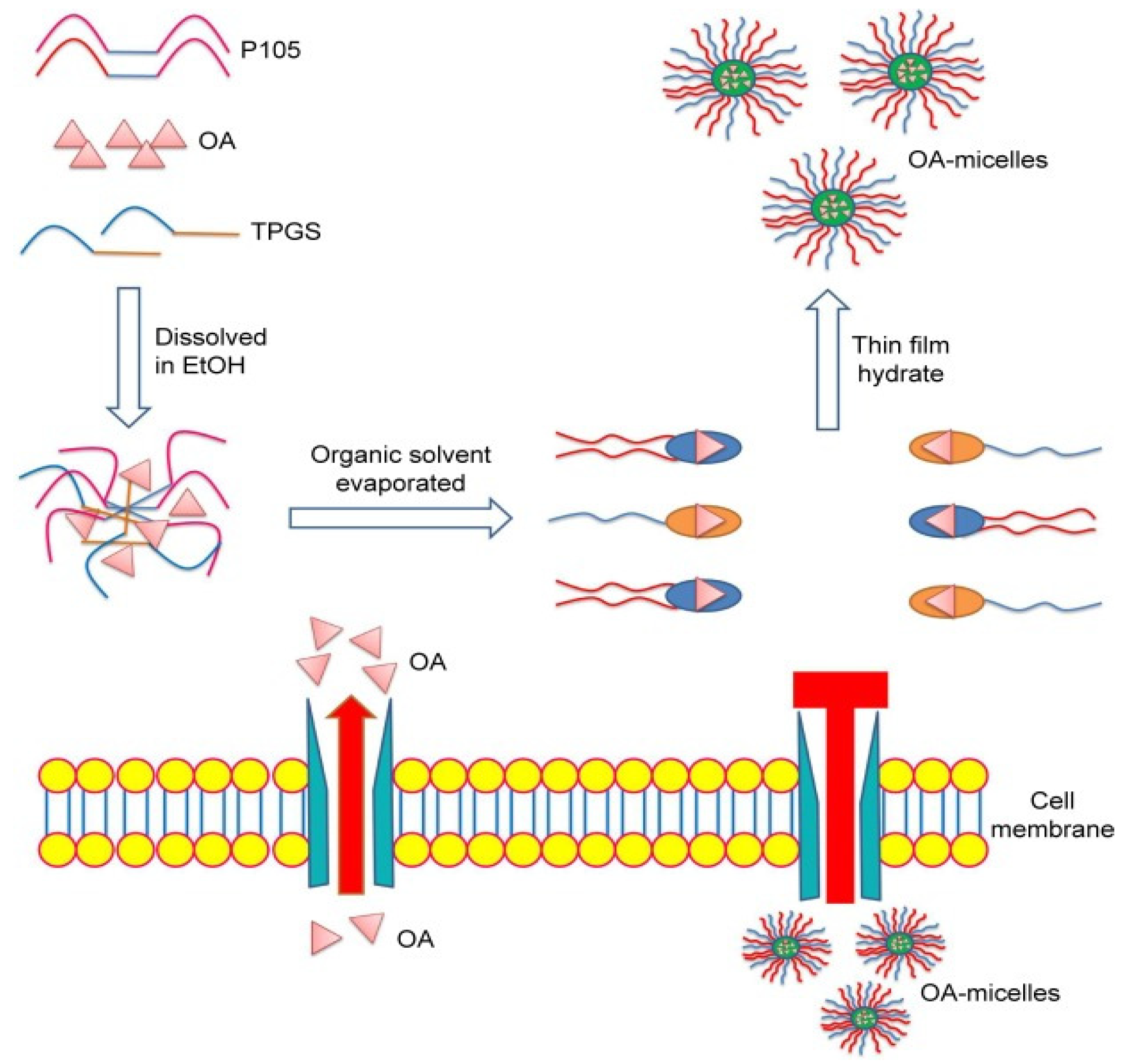 Pharmaceutics 16 00692 g006