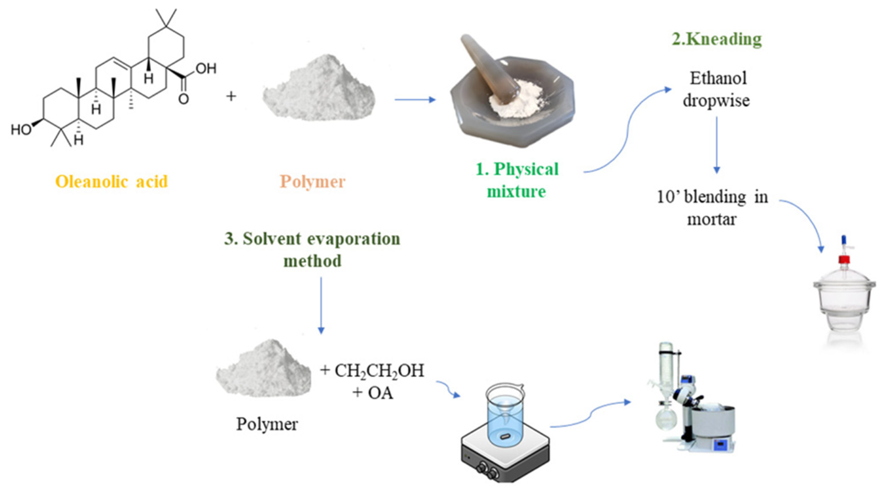 Unlocking the Potential of Oleanolic Acid: Integrating Pharmacological  Insights and Advancements in Delivery Systems