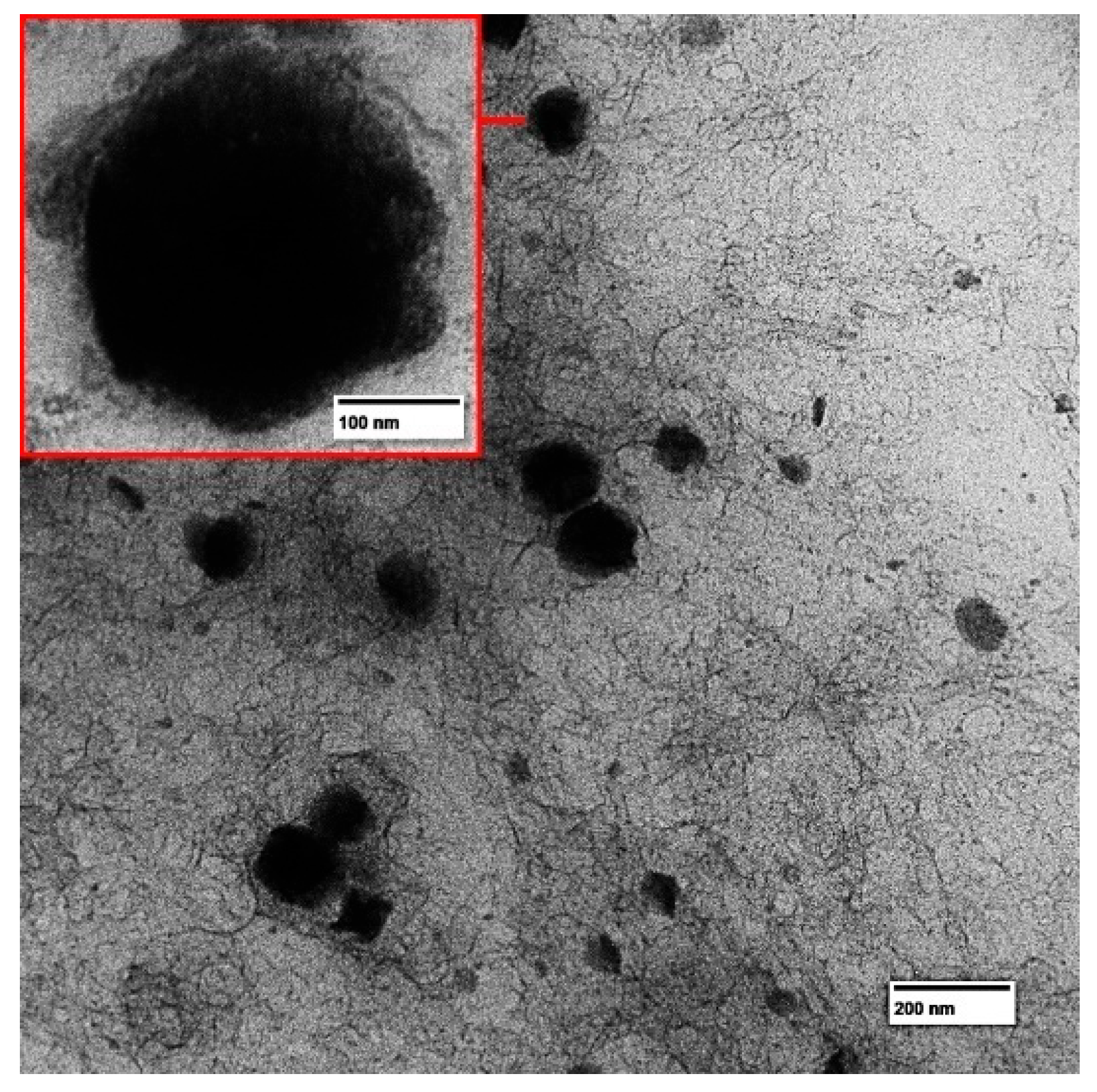 Pharmaceutics 16 00701 g002