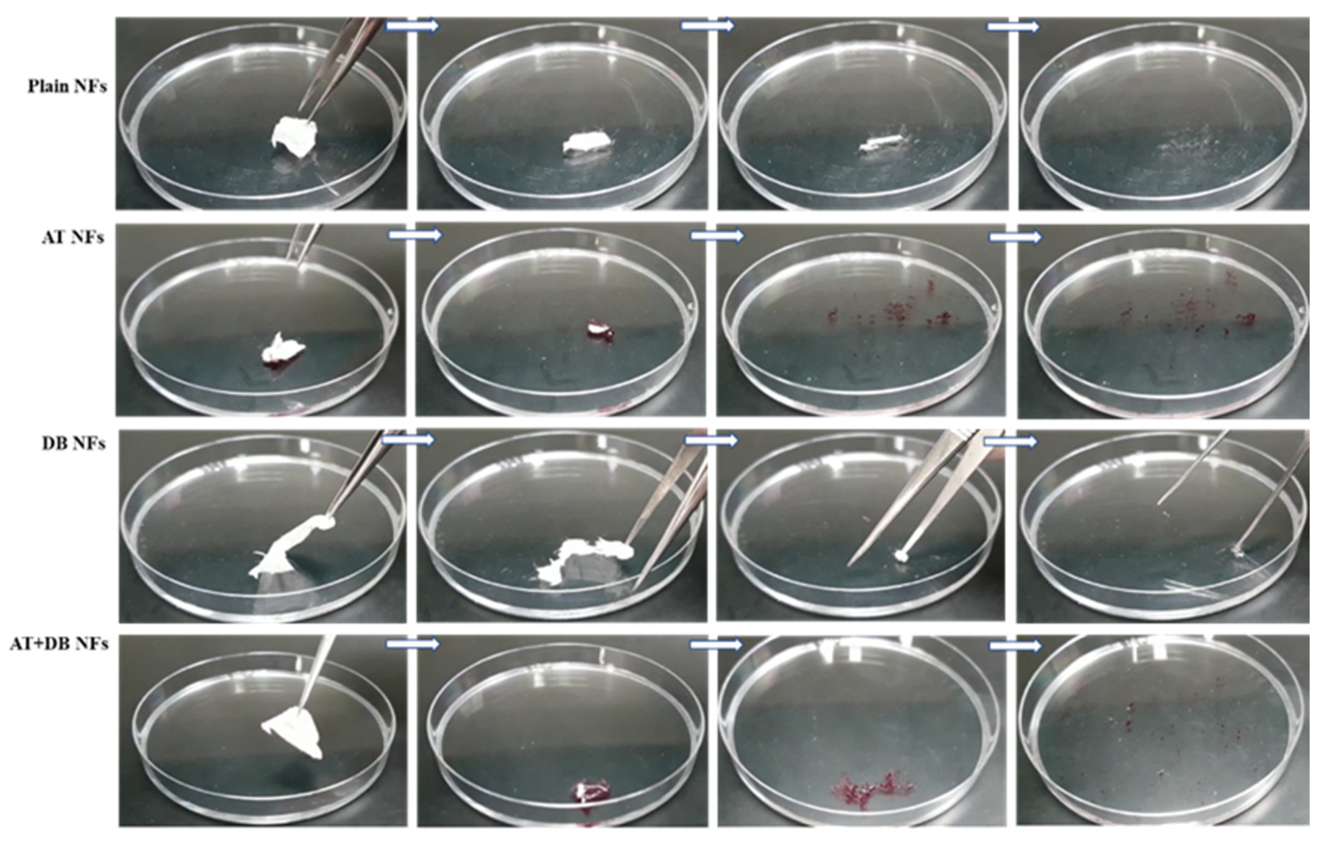 Pharmaceutics 16 00704 g002