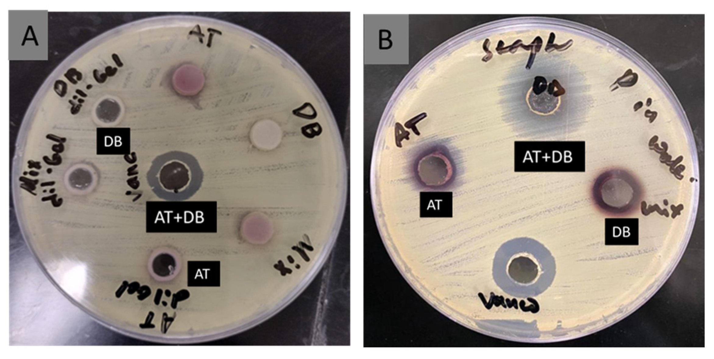 Pharmaceutics 16 00704 g006