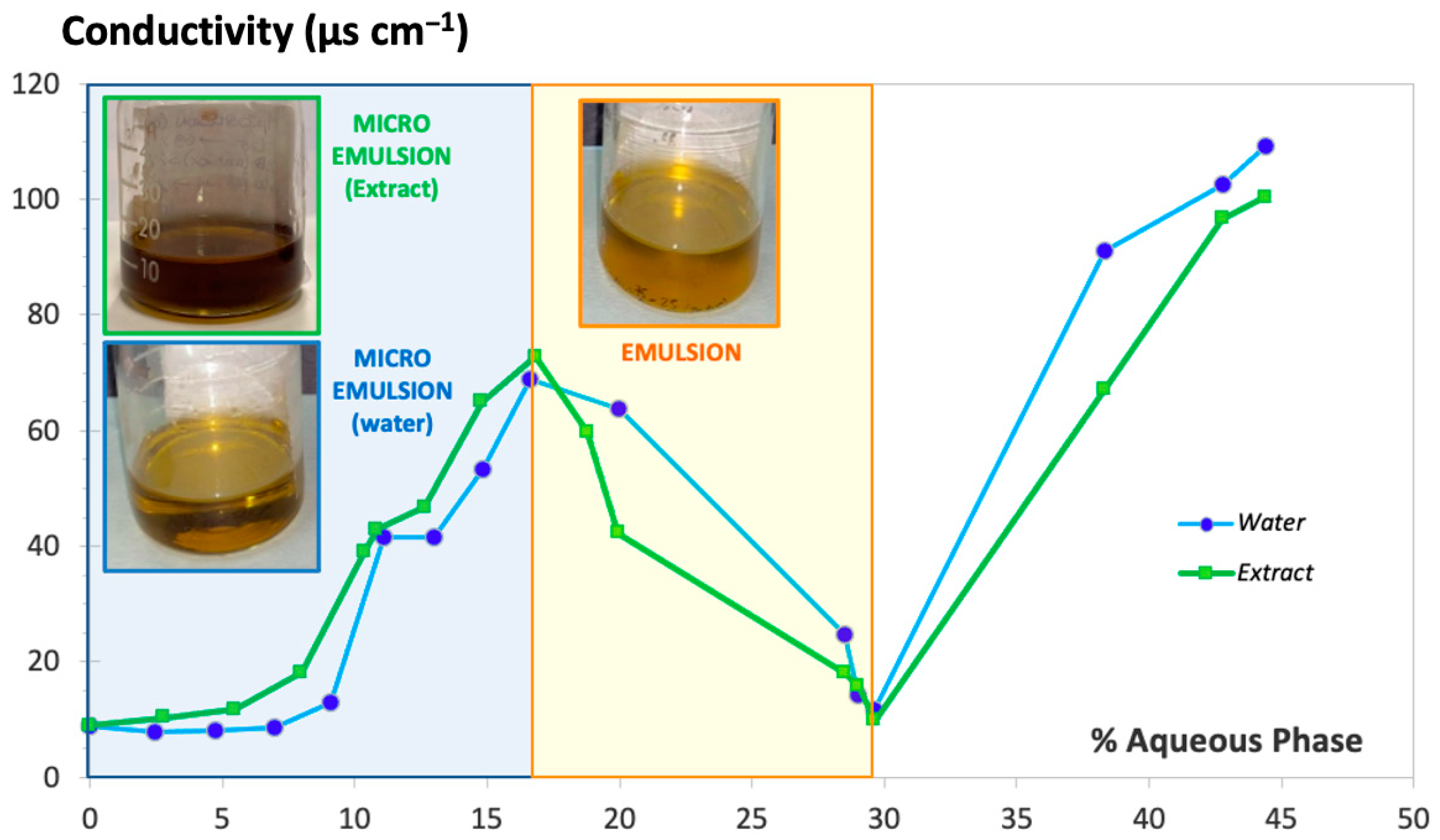 Pharmaceutics 16 00705 g002