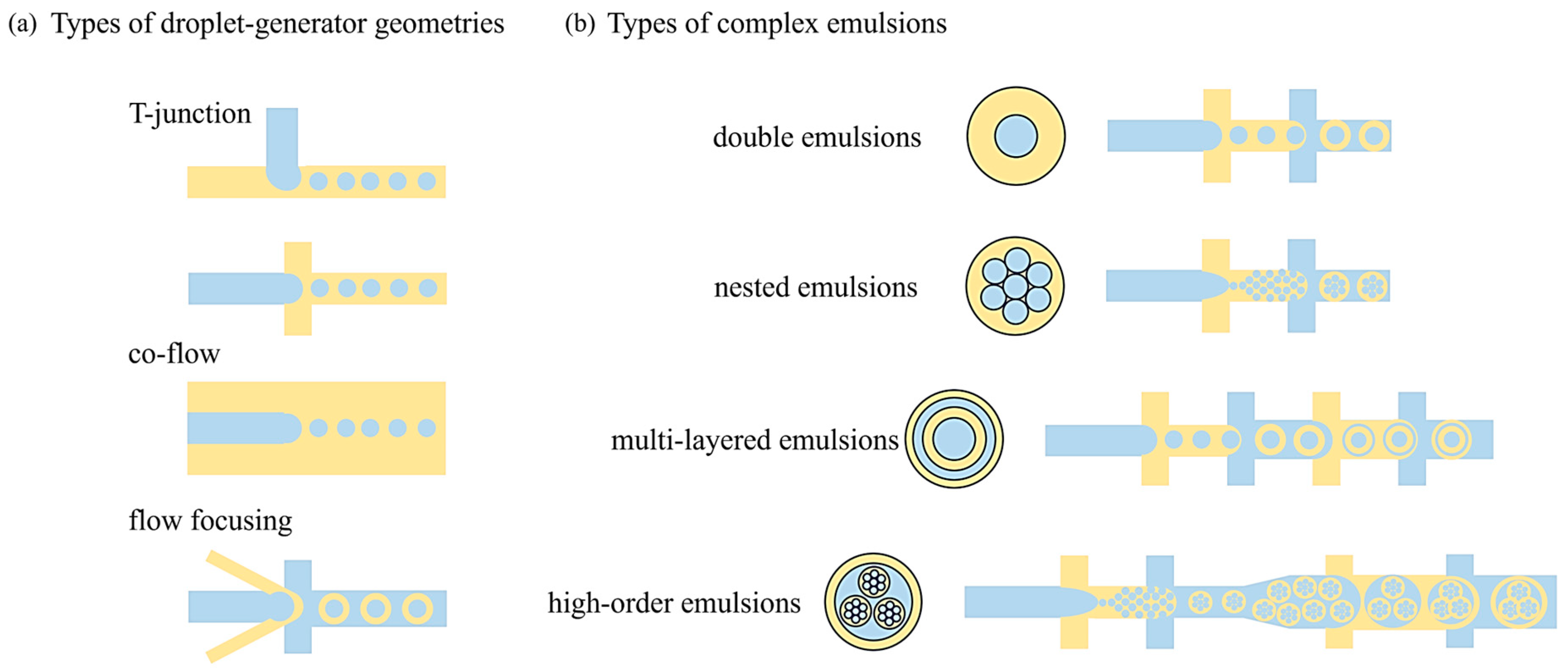 Pharmaceutics 16 00707 g002