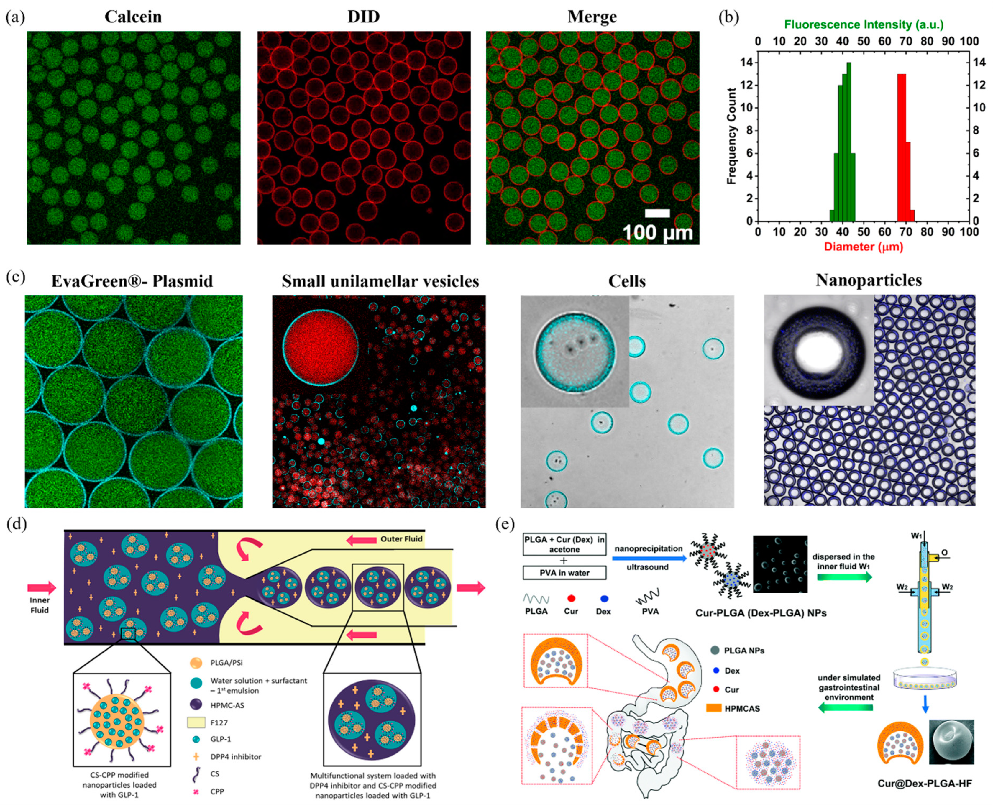 Pharmaceutics 16 00707 g003