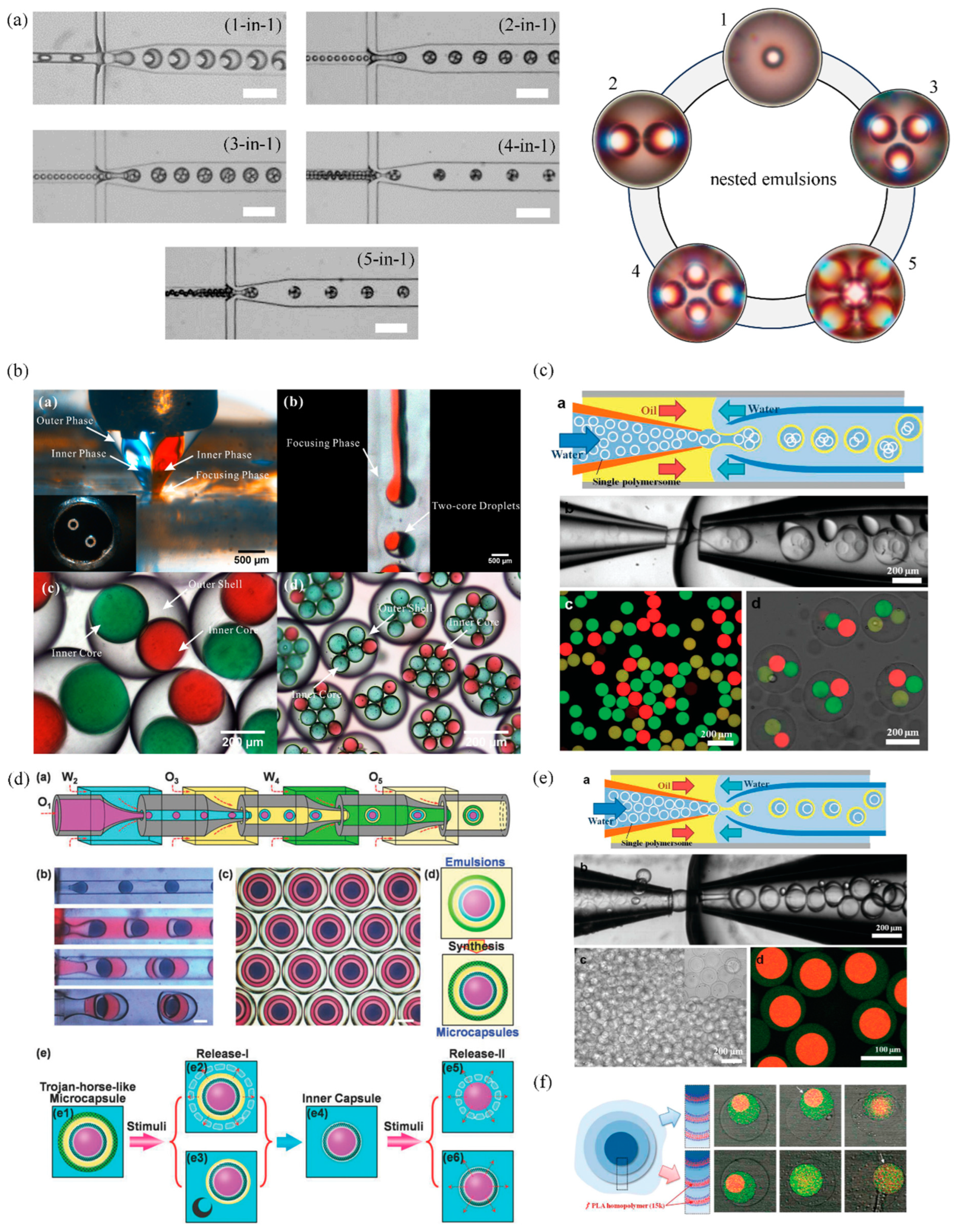 Pharmaceutics 16 00707 g004