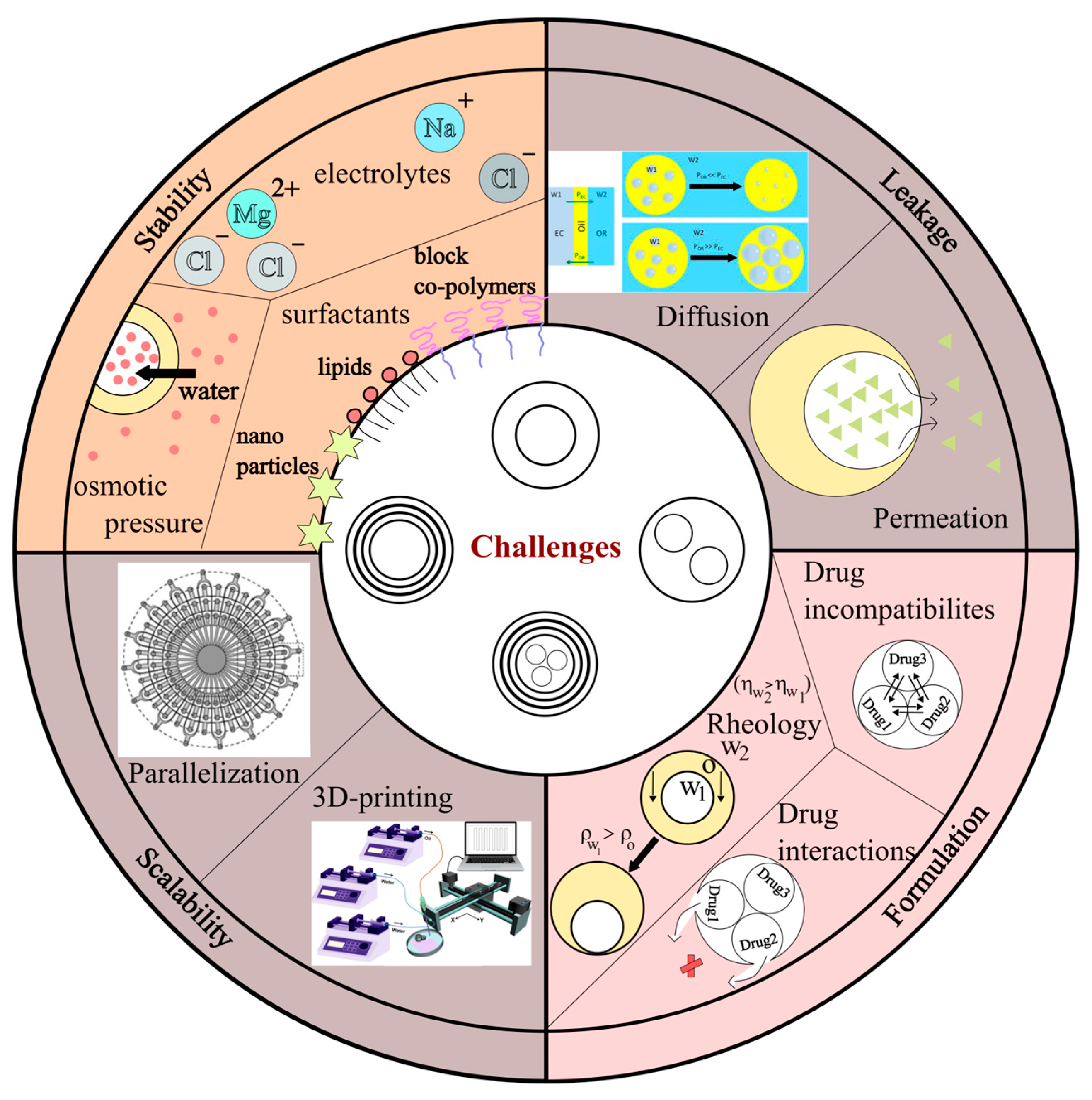 Pharmaceutics 16 00707 g006