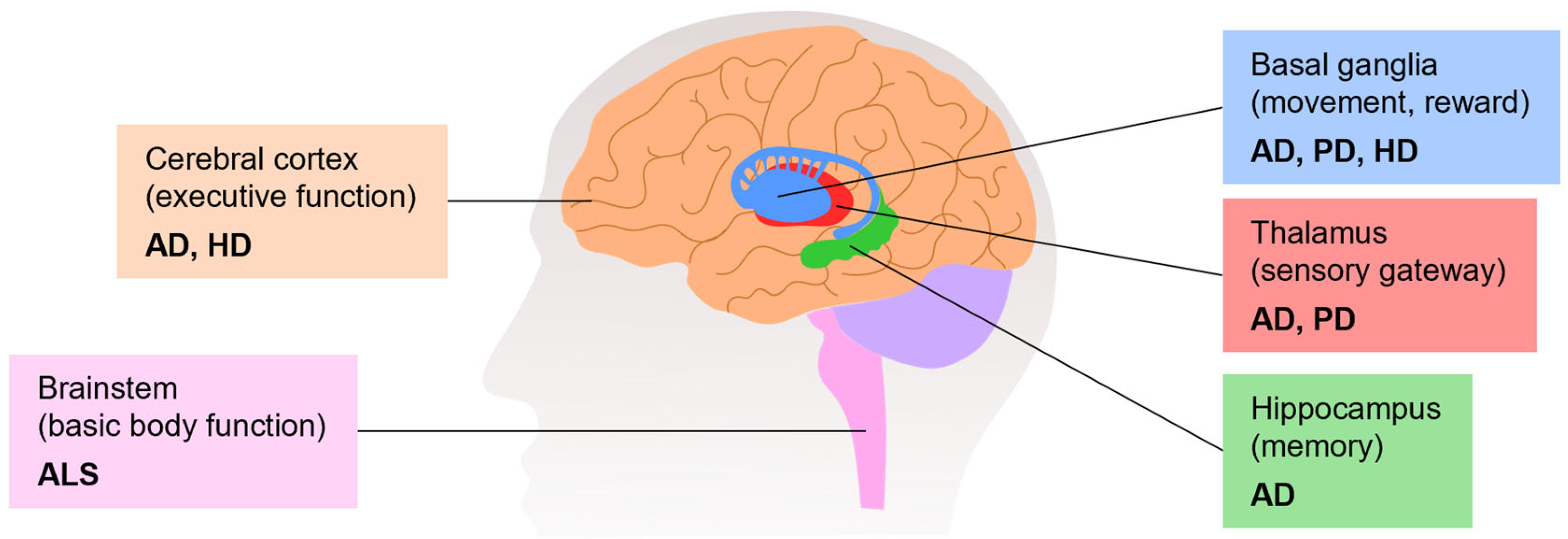 Pharmaceutics 16 00708 g001 Pharmaceutics 16 00708 g001