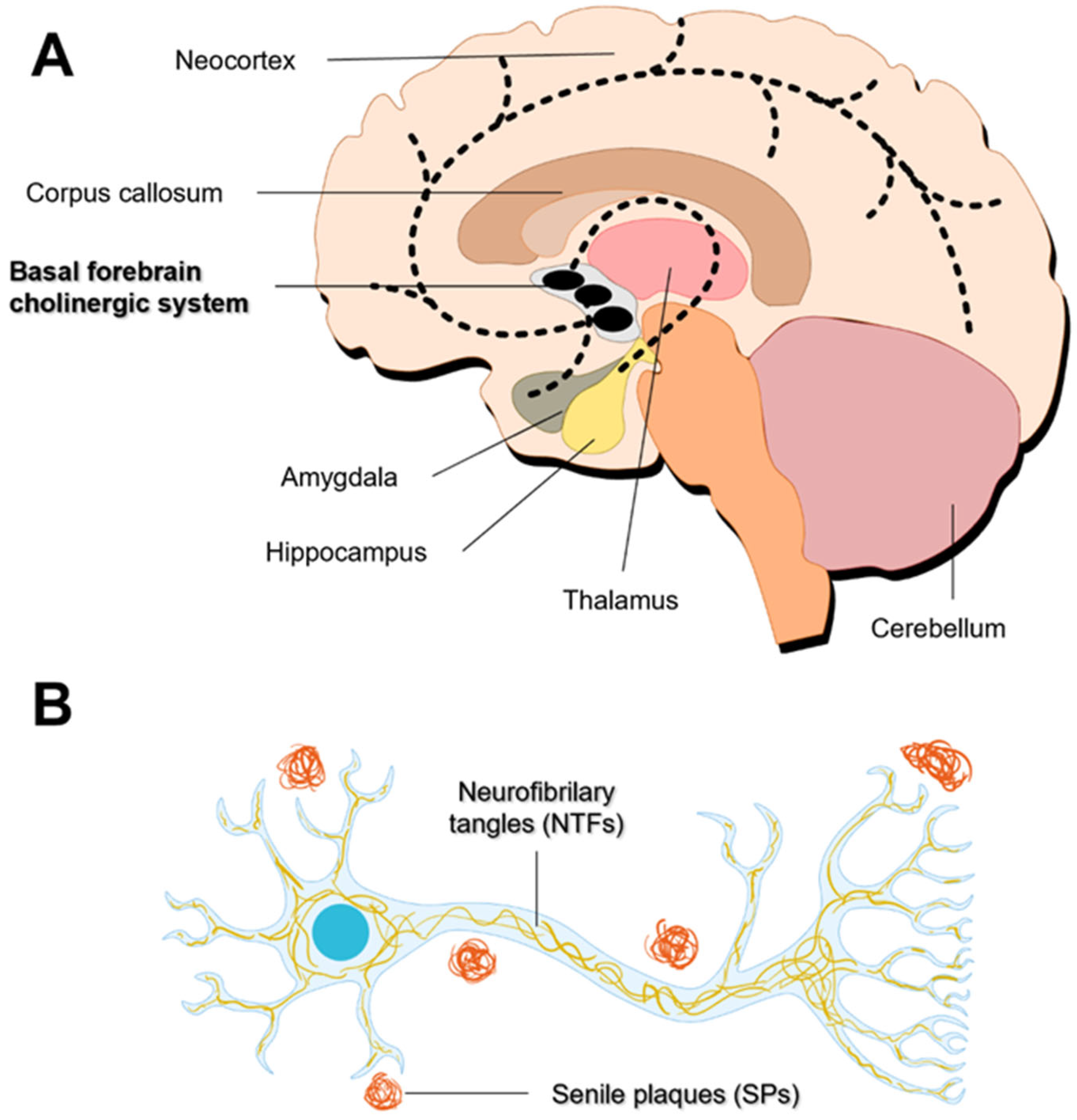 Pharmaceutics 16 00708 g002 Pharmaceutics 16 00708 g002