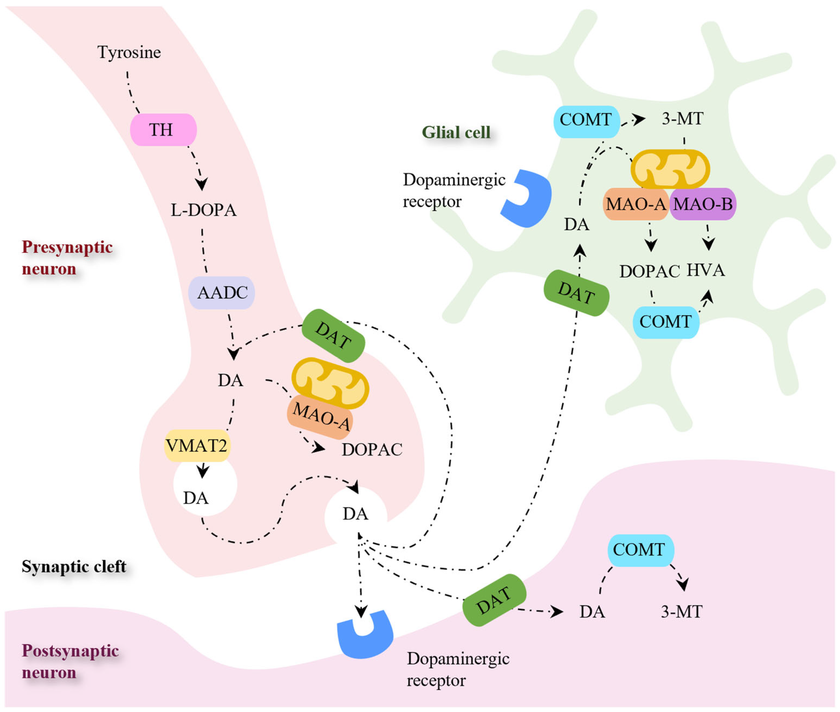 Pharmaceutics 16 00708 g006 Pharmaceutics 16 00708 g006