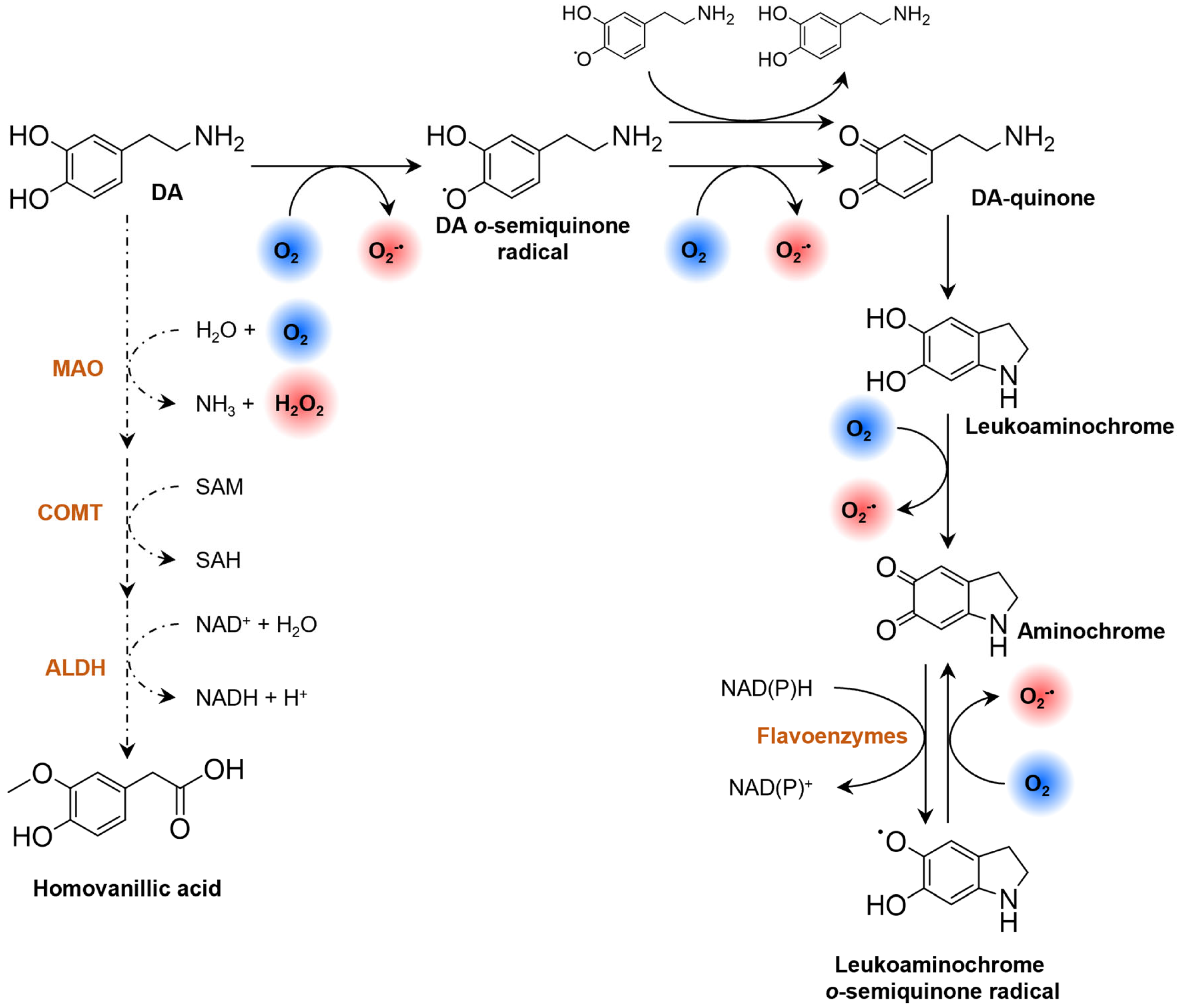 Pharmaceutics 16 00708 g010 Pharmaceutics 16 00708 g010