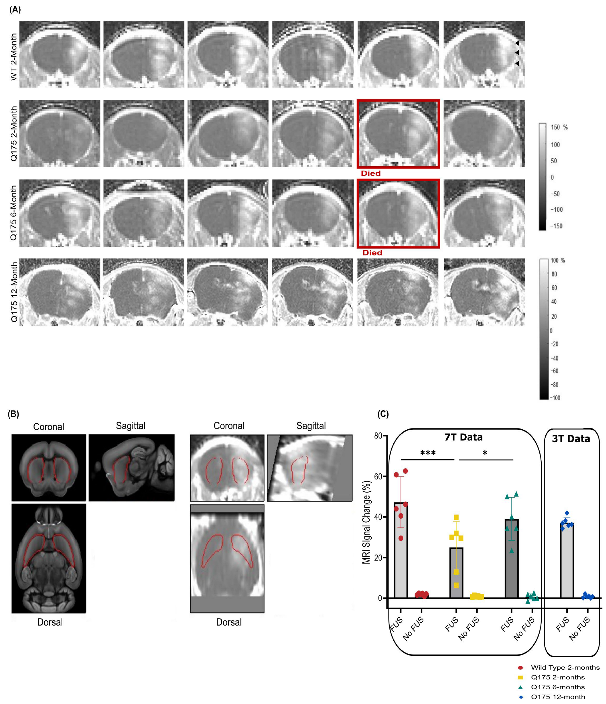 Pharmaceutics 16 00710 g003