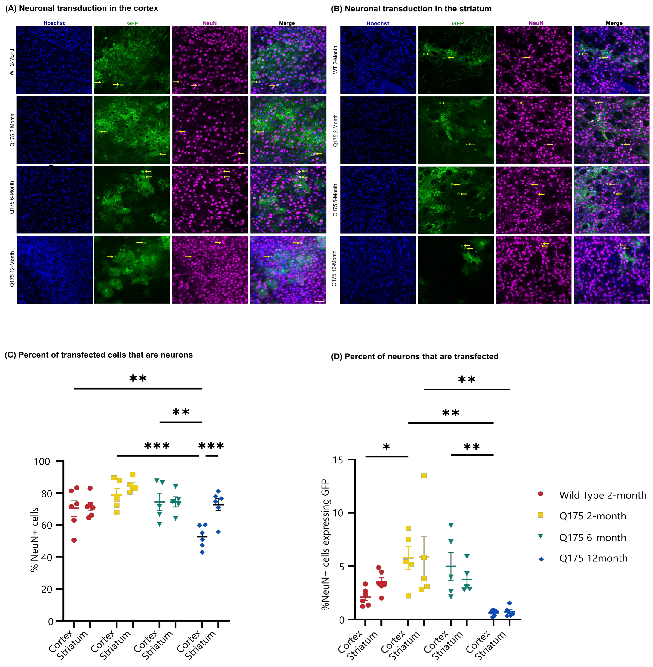 Pharmaceutics 16 00710 g007