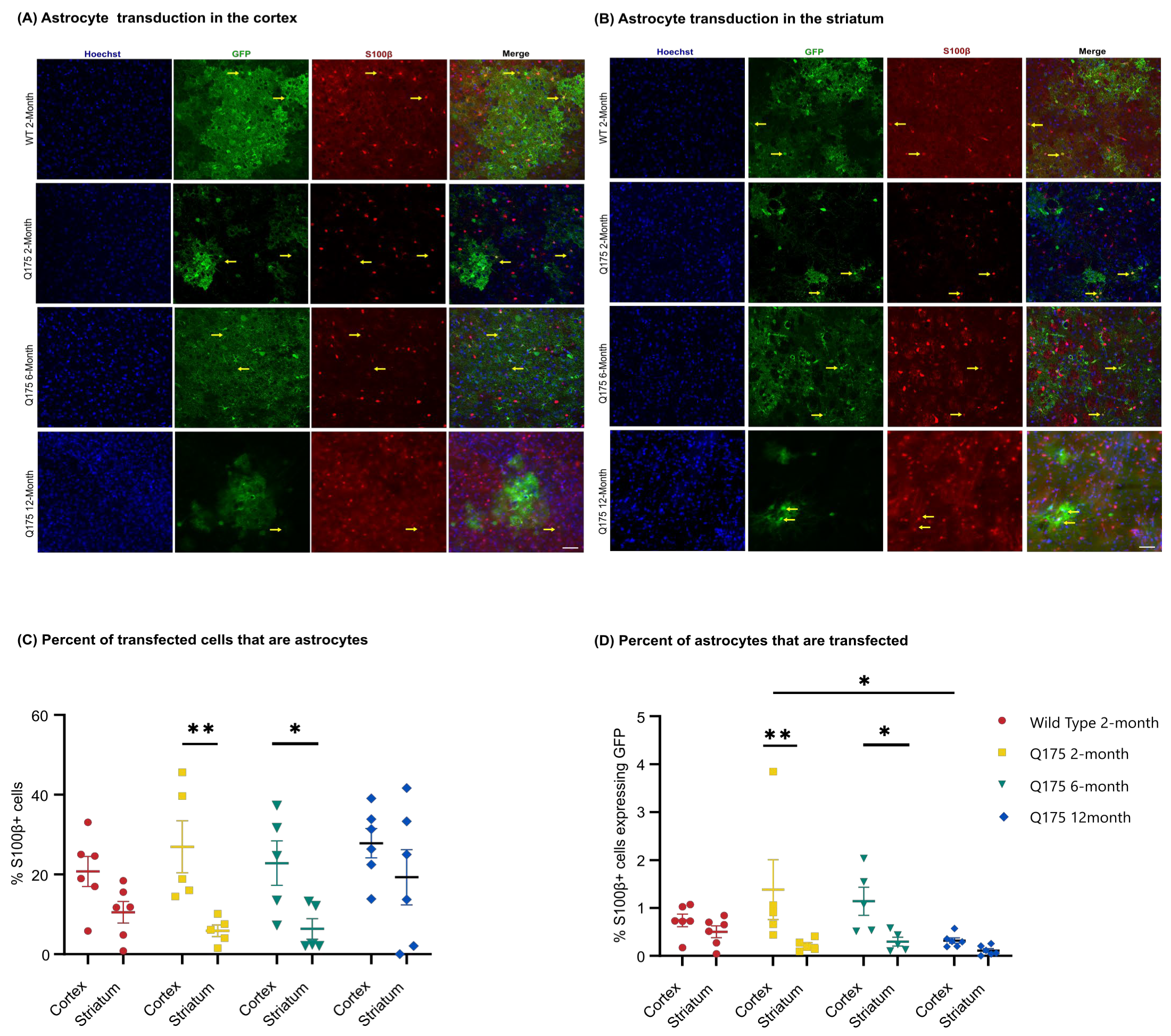 Pharmaceutics 16 00710 g008