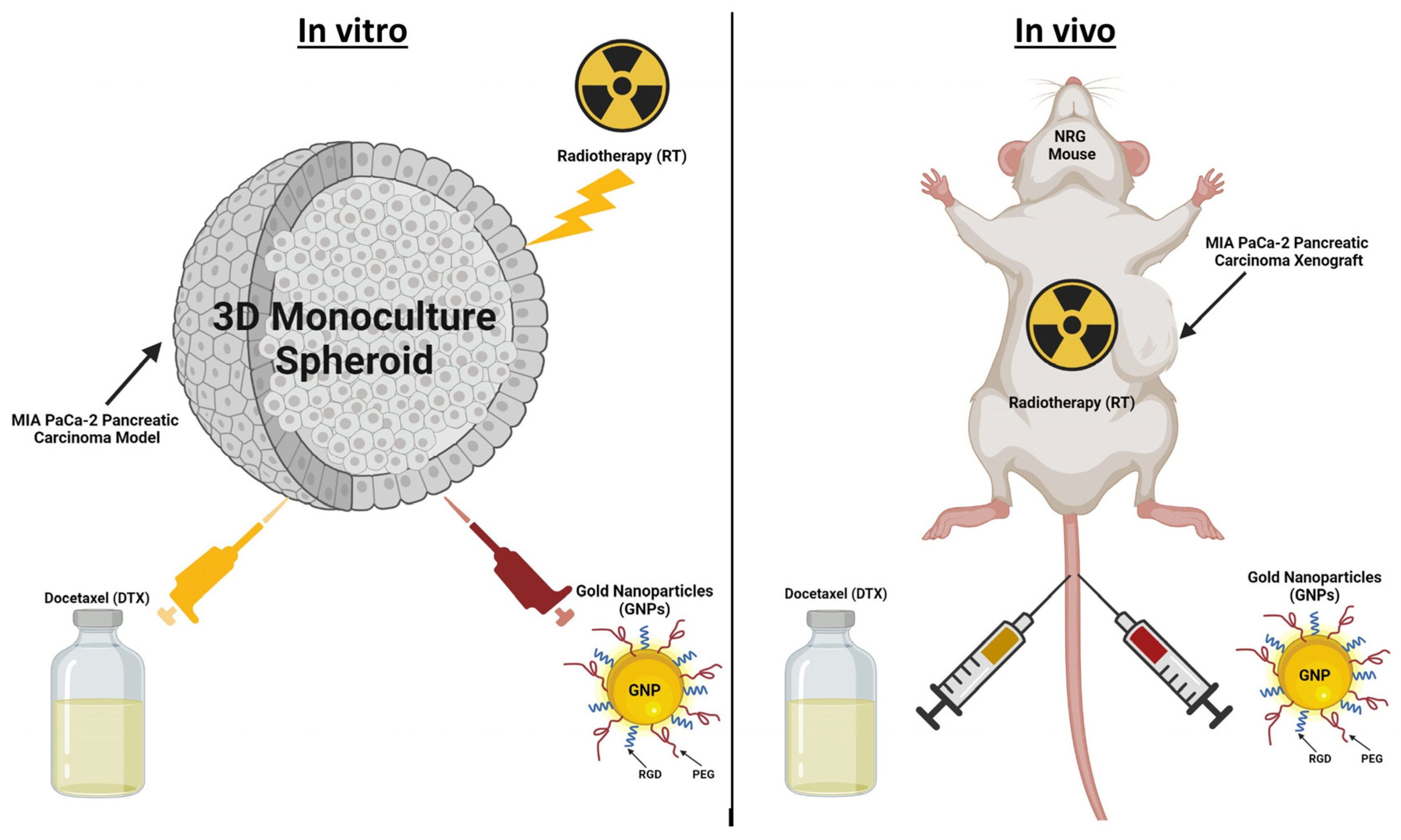 Pharmaceutics 16 00713 g001
