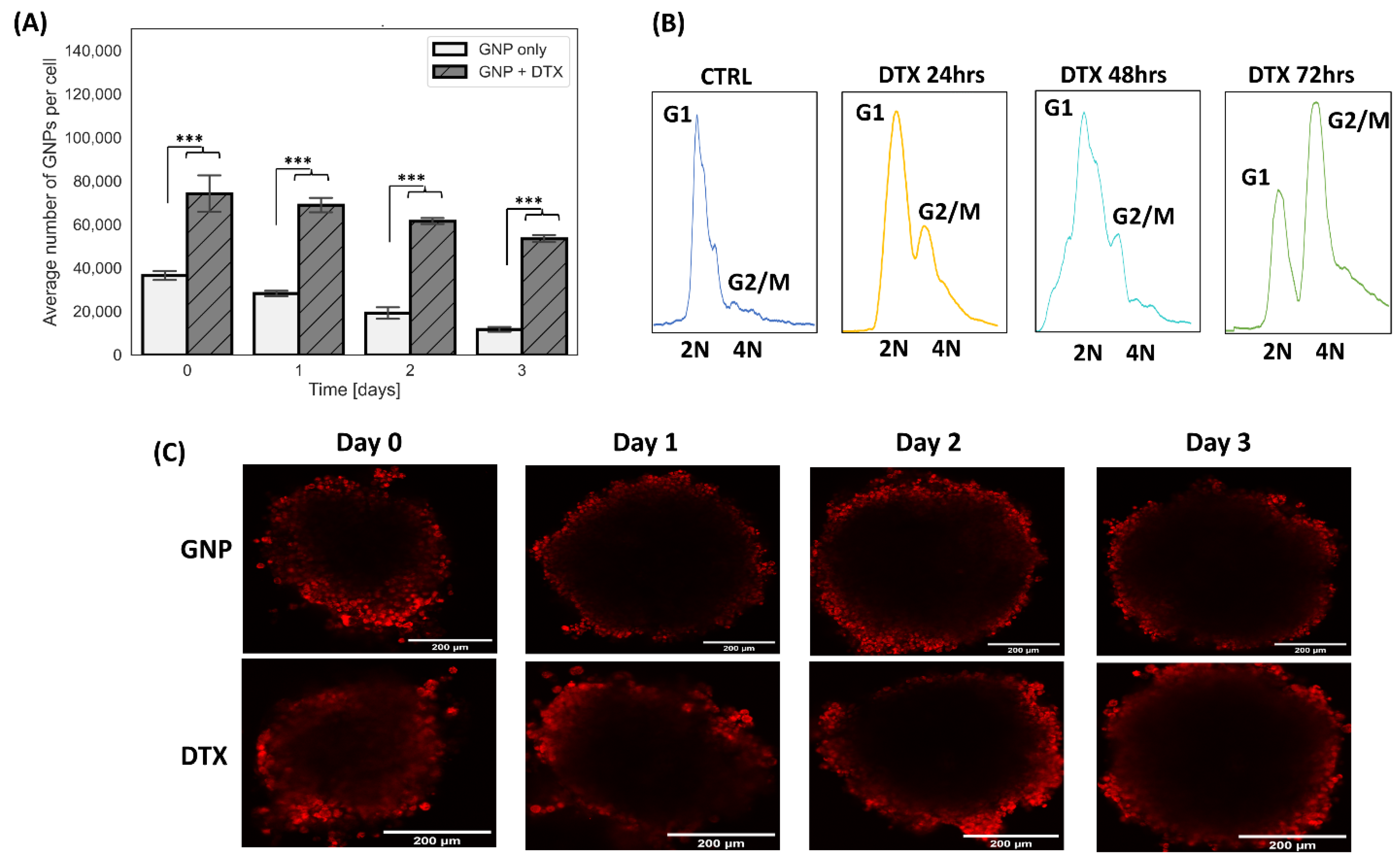Pharmaceutics 16 00713 g002