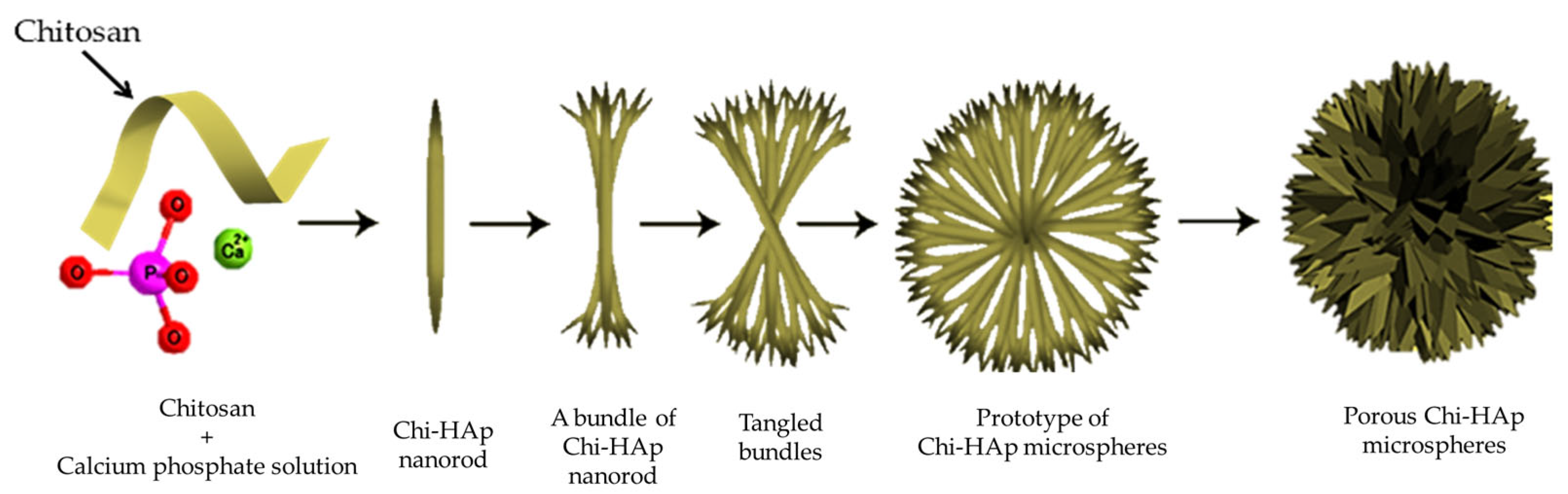 Pharmaceutics 16 00730 g003