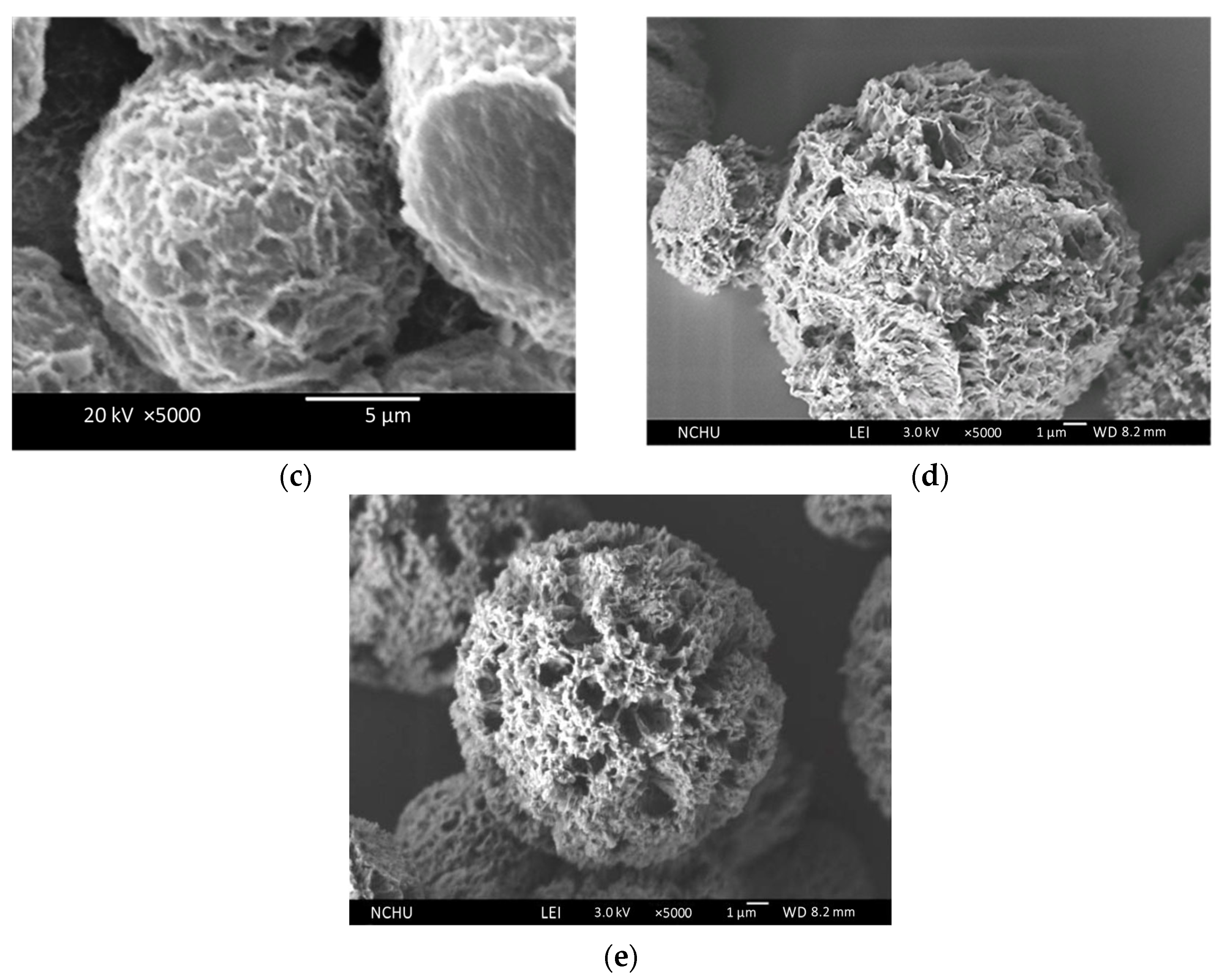 Pharmaceutics 16 00730 g014b