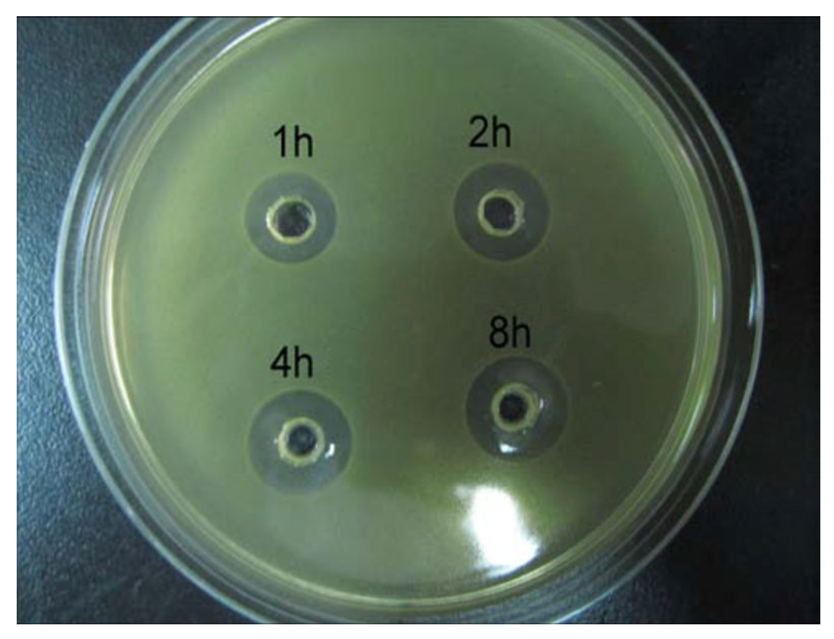 Pharmaceutics 16 00730 g016