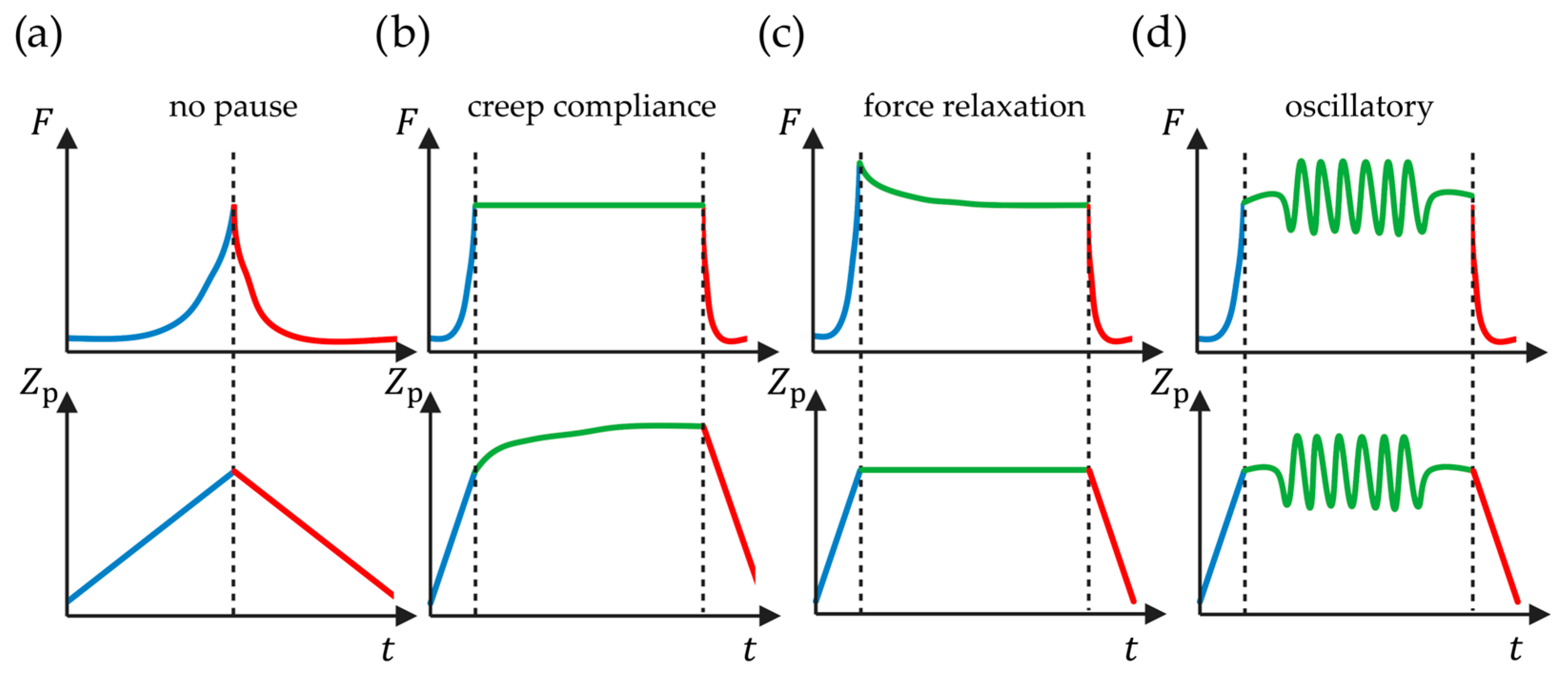 Pharmaceutics 16 00733 g010