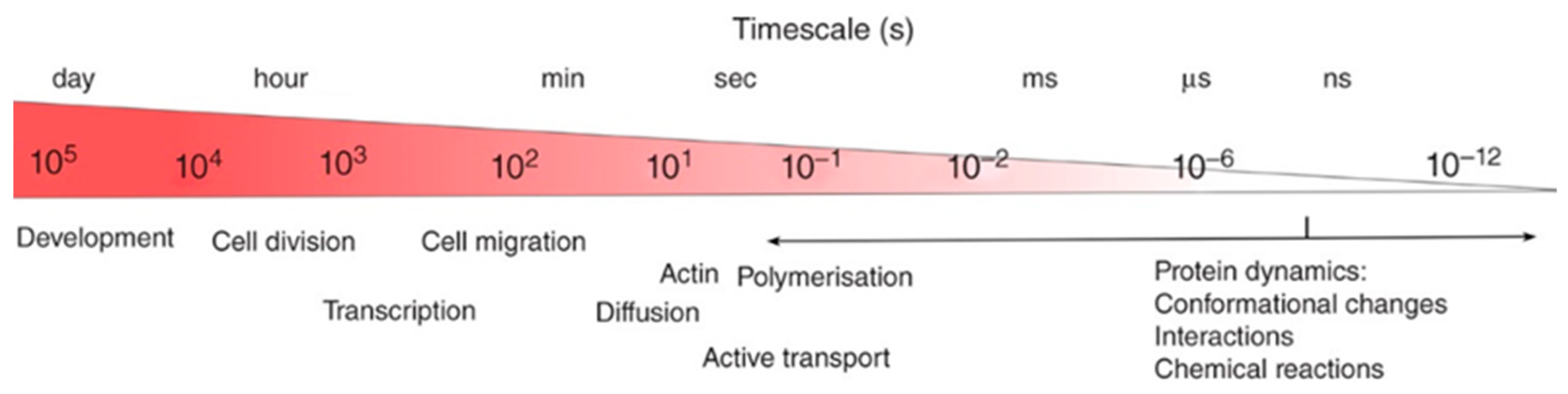 Pharmaceutics 16 00733 g014