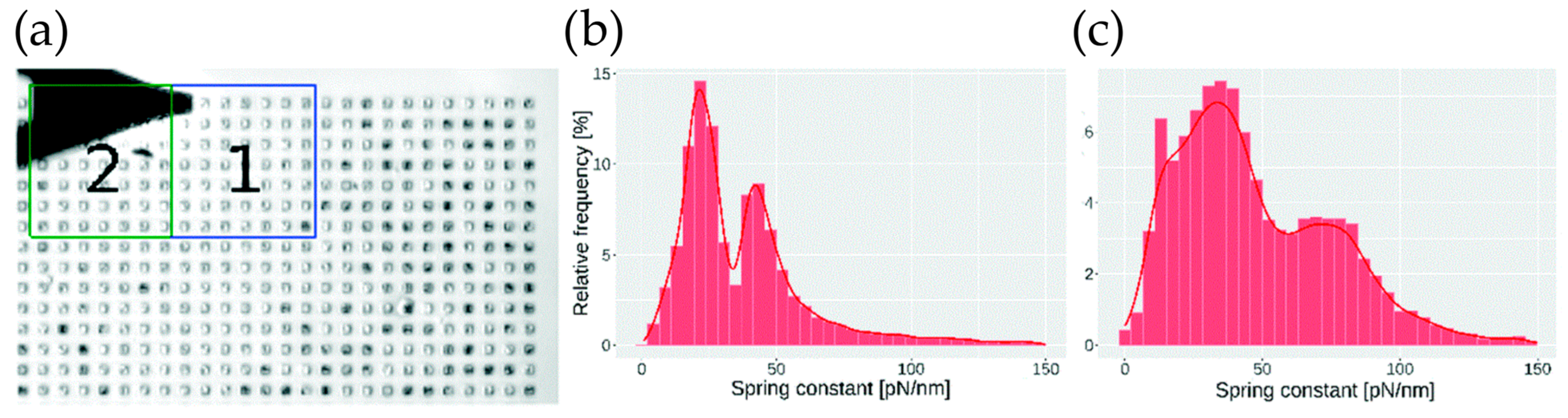 Pharmaceutics 16 00733 g016
