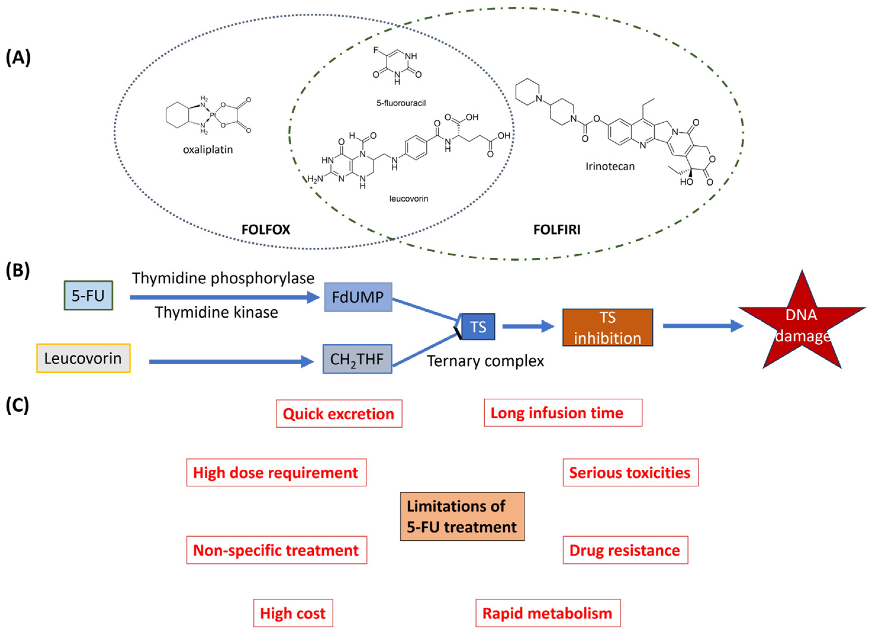 Pharmaceutics 16 00734 g001