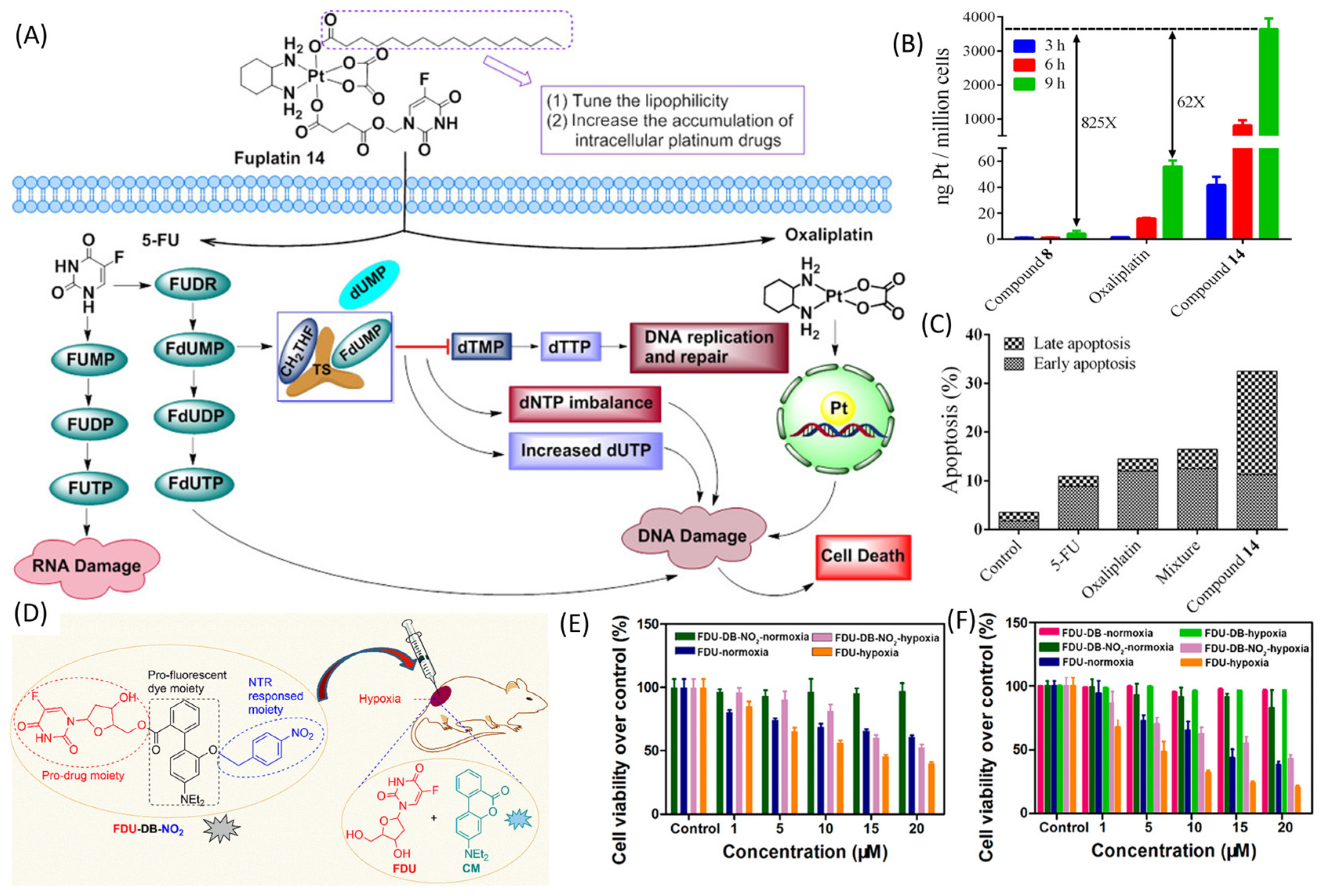 Pharmaceutics 16 00734 g002