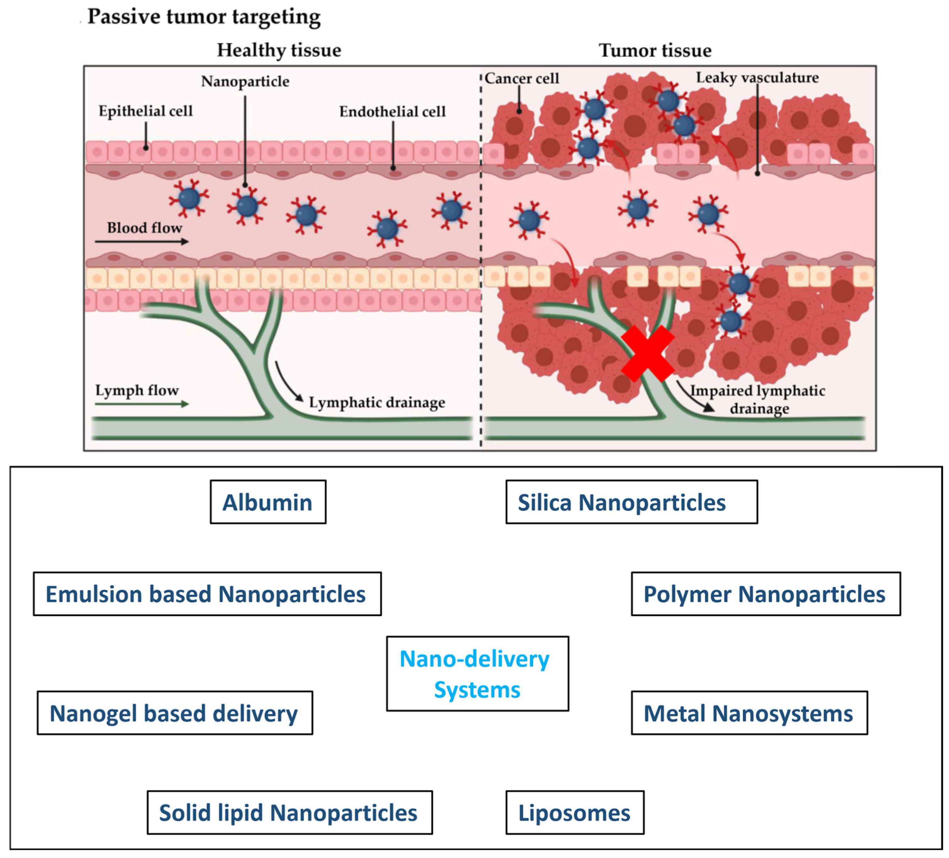 Pharmaceutics 16 00734 g004
