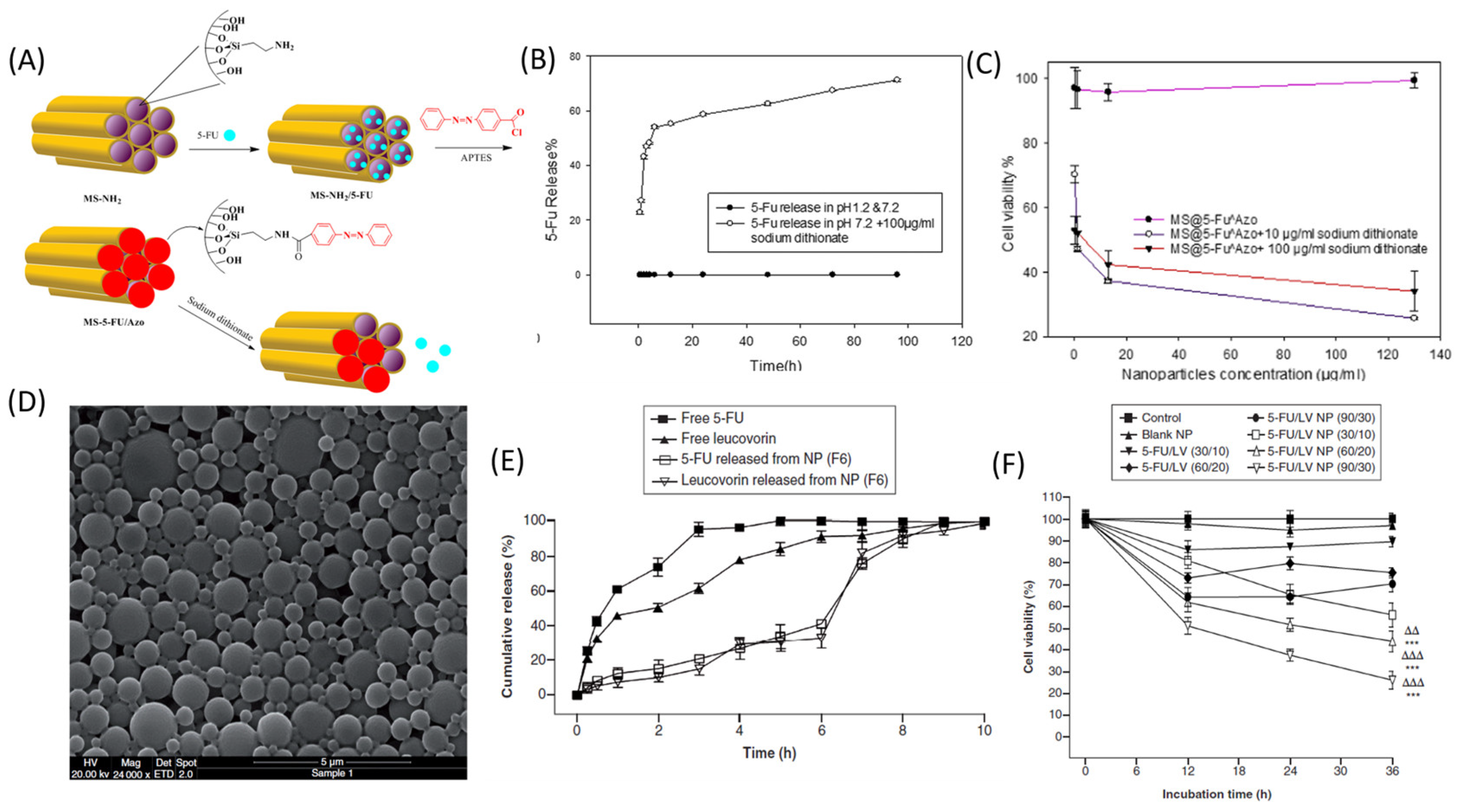 Pharmaceutics 16 00734 g005