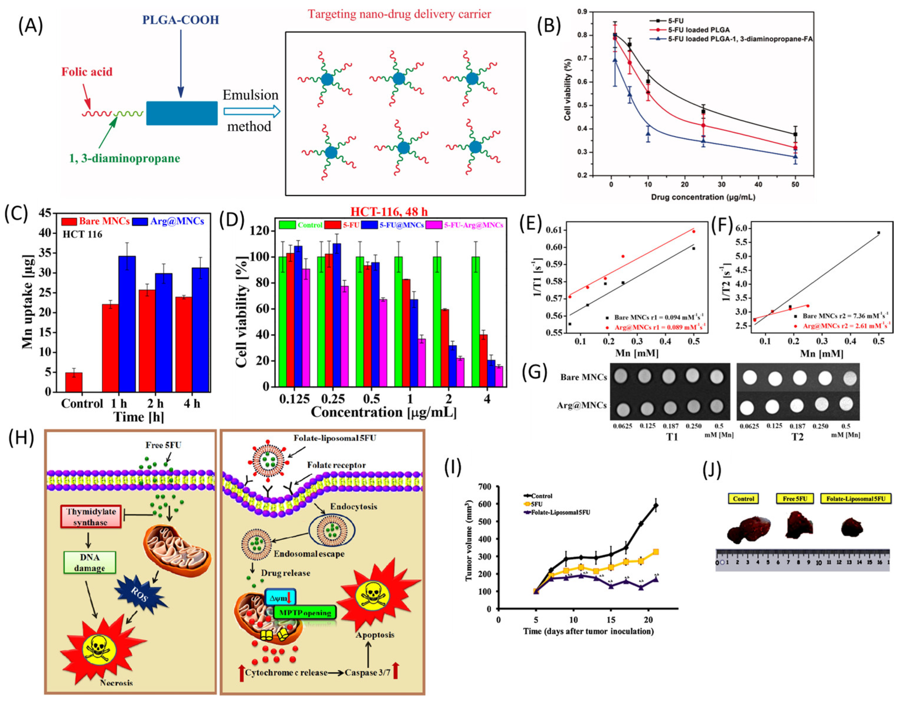 Pharmaceutics 16 00734 g006