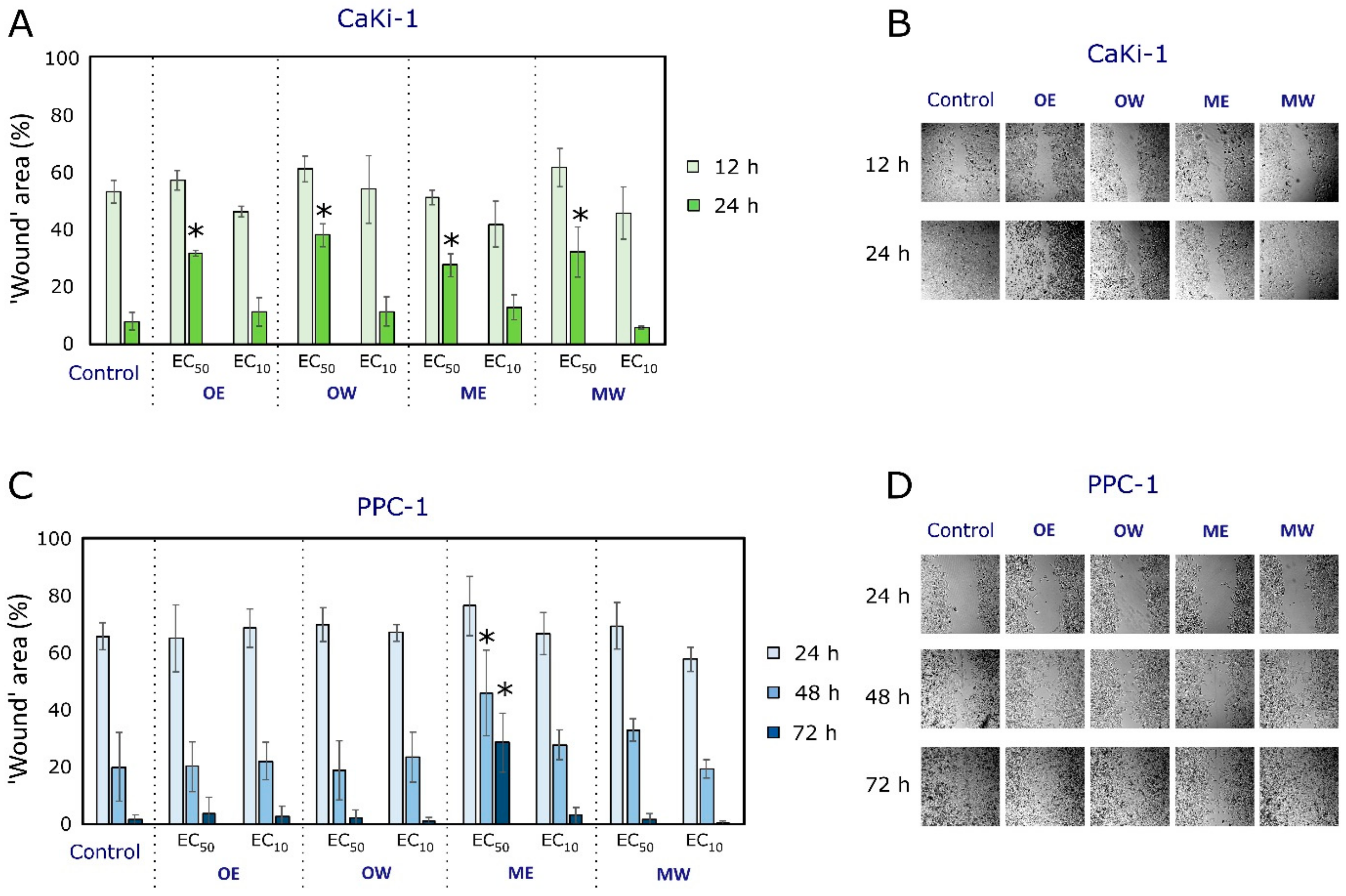 Pharmaceutics 16 00735 g004