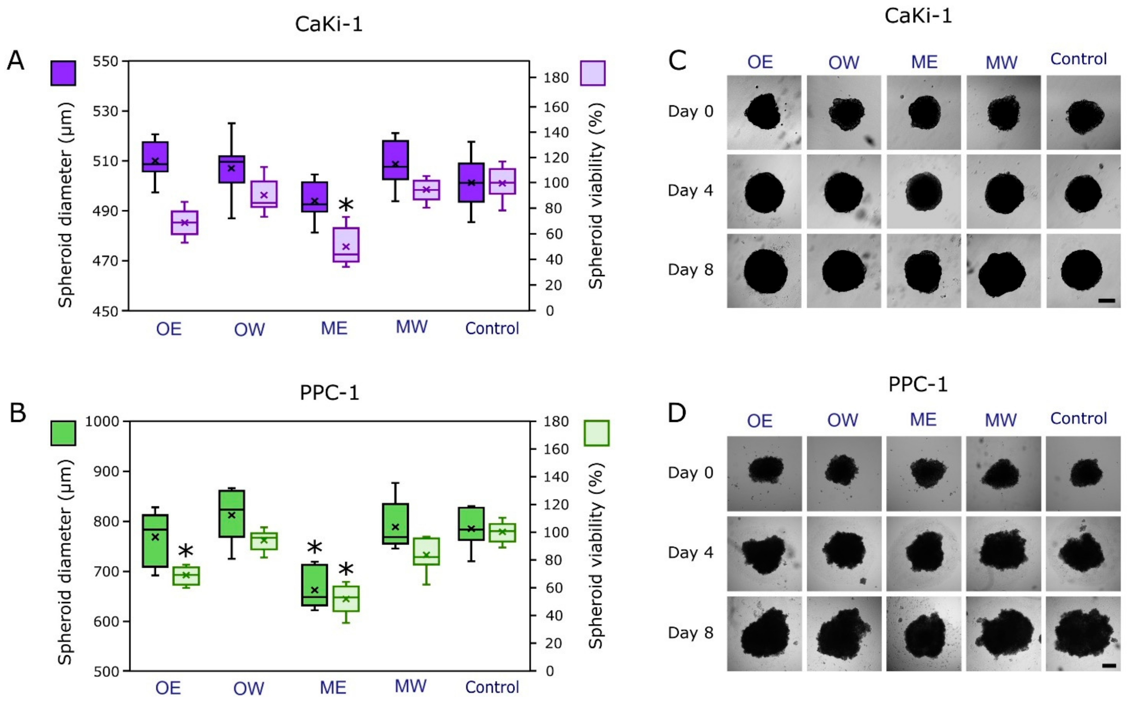 Pharmaceutics 16 00735 g005