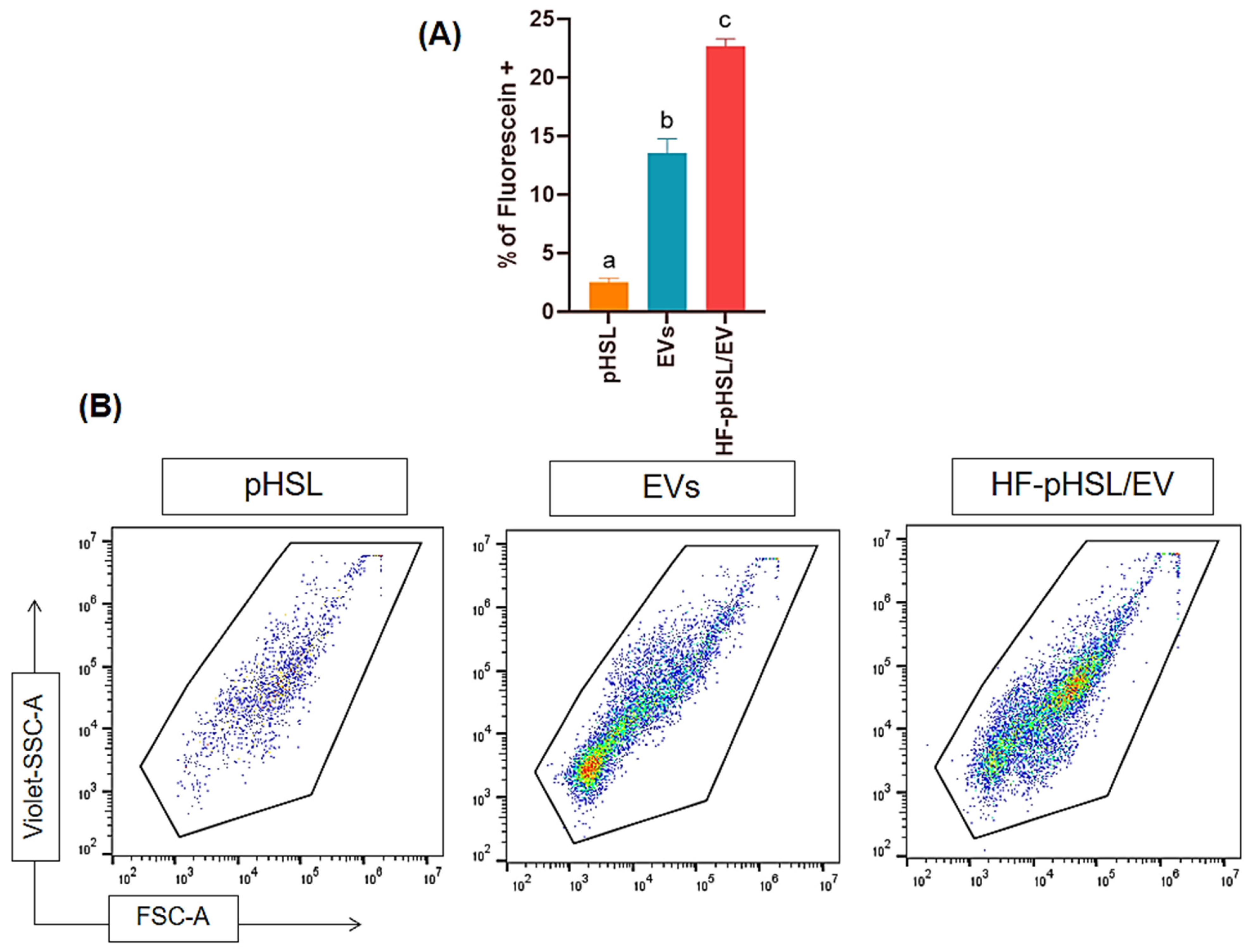 Pharmaceutics 16 00739 g002