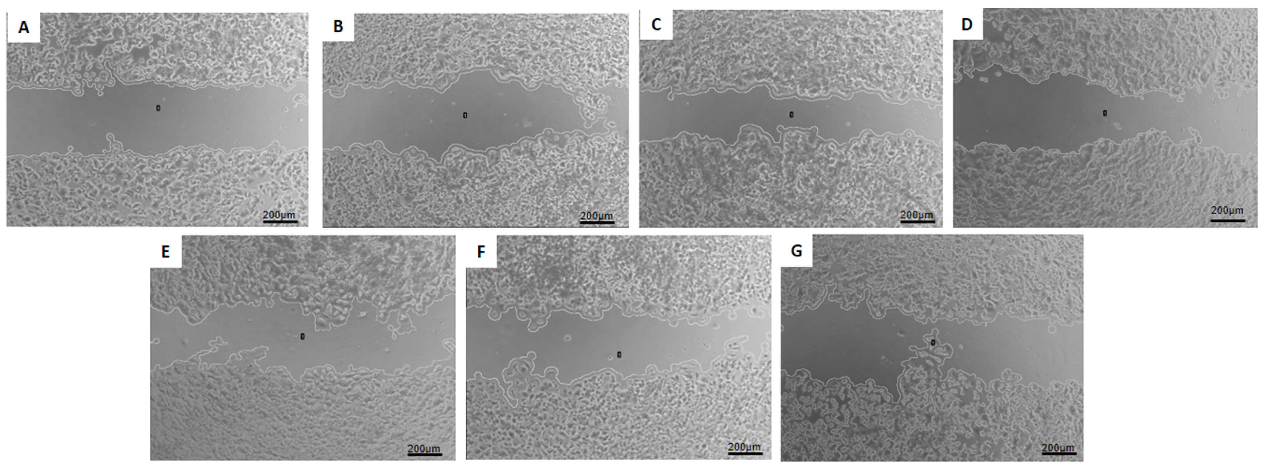 Pharmaceutics 16 00739 g007