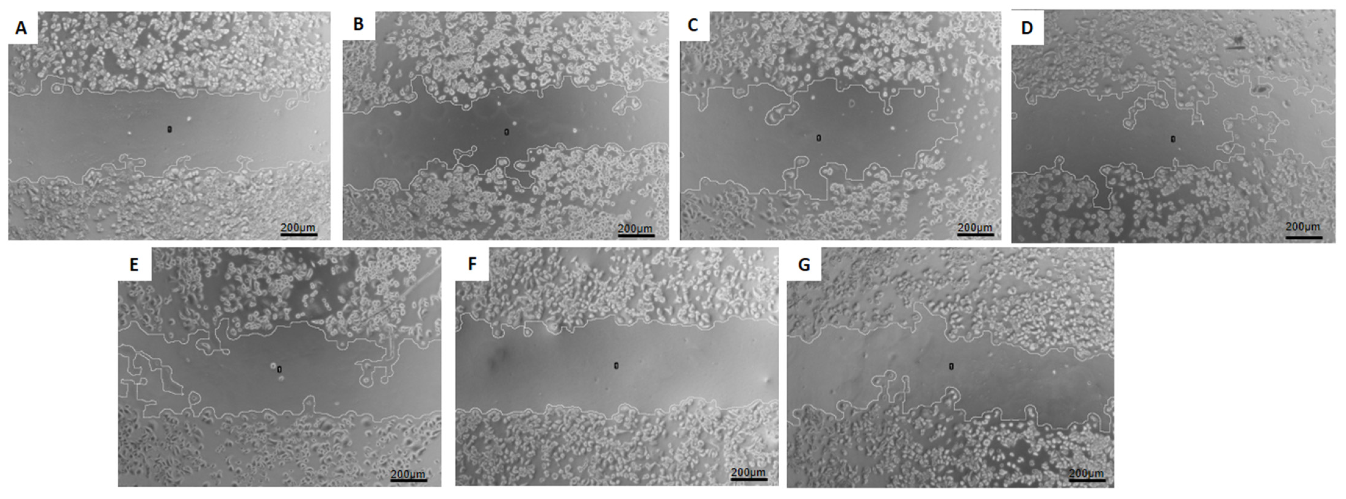 Pharmaceutics 16 00739 g008