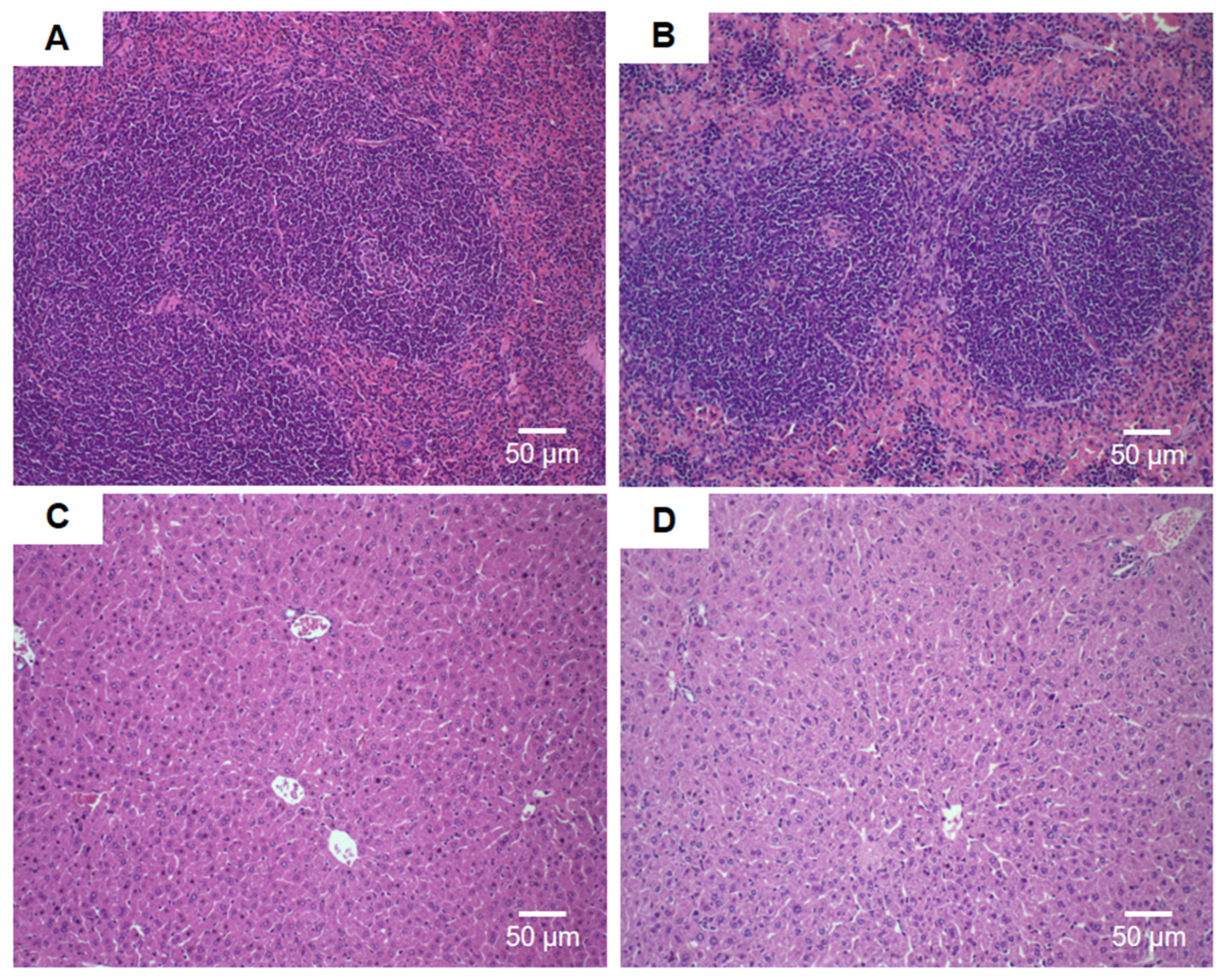 Pharmaceutics 16 00739 g010