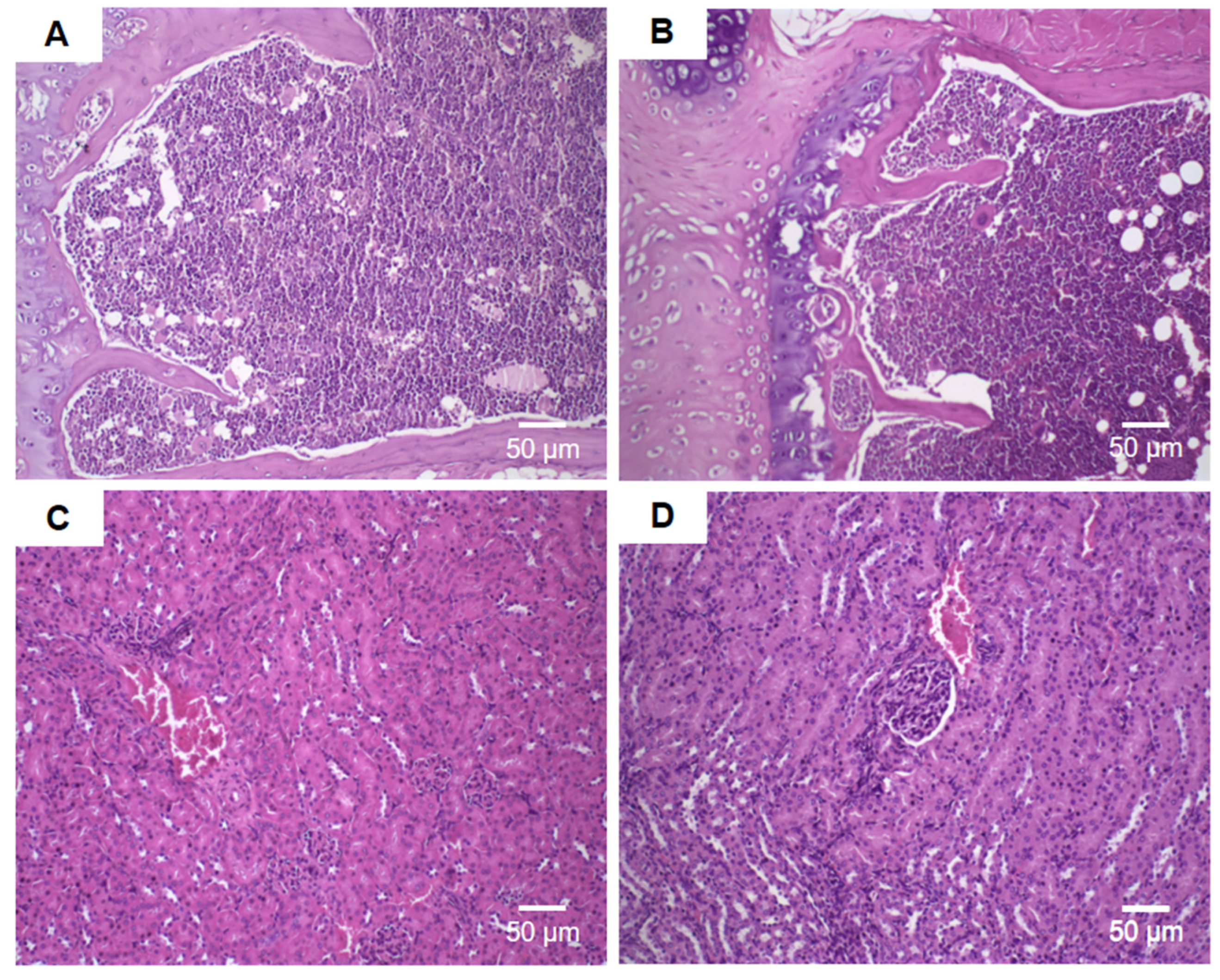 Pharmaceutics 16 00739 g011